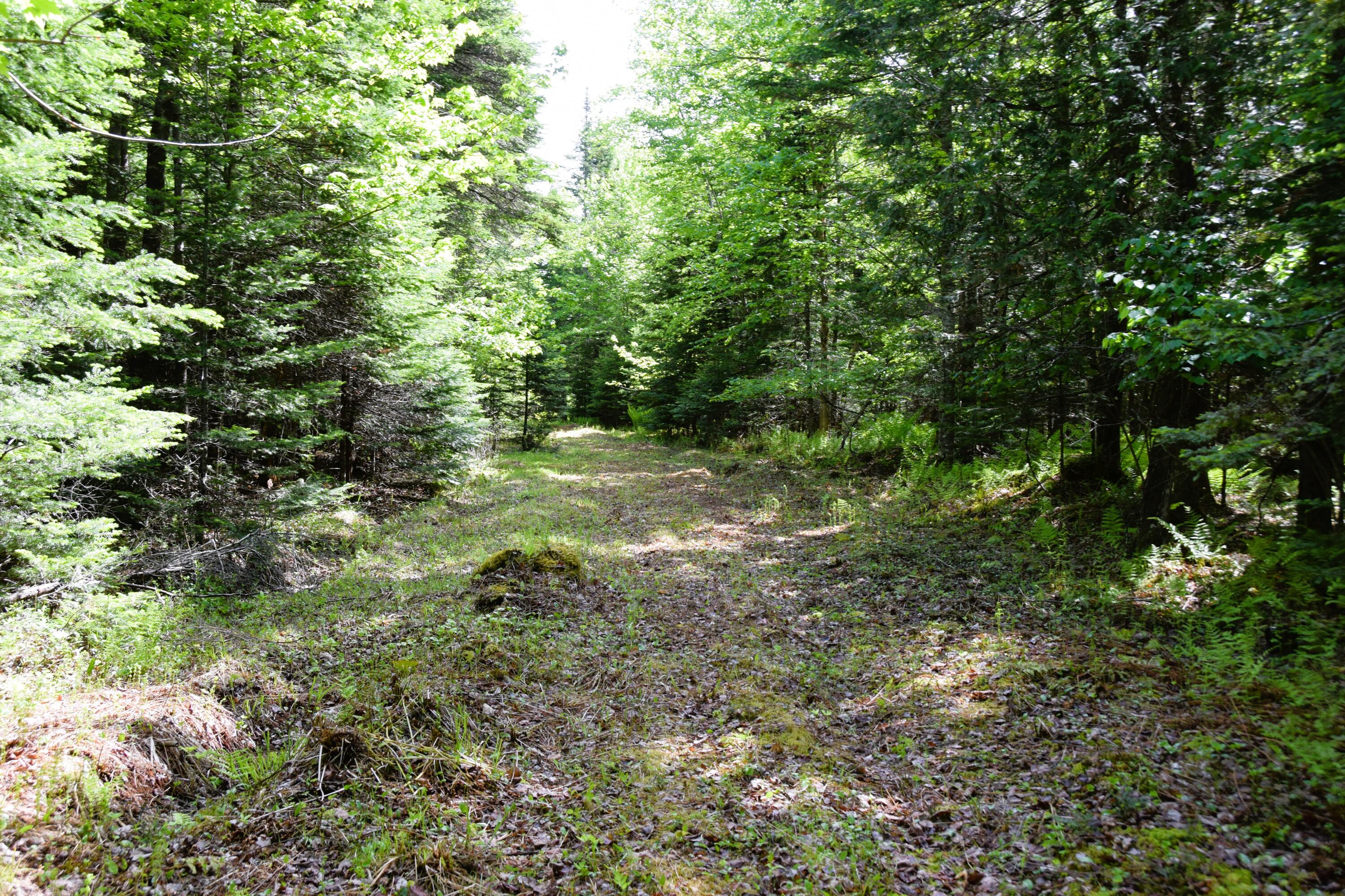 M10 L30 9 & 9a Birch Lane Property Photo 11