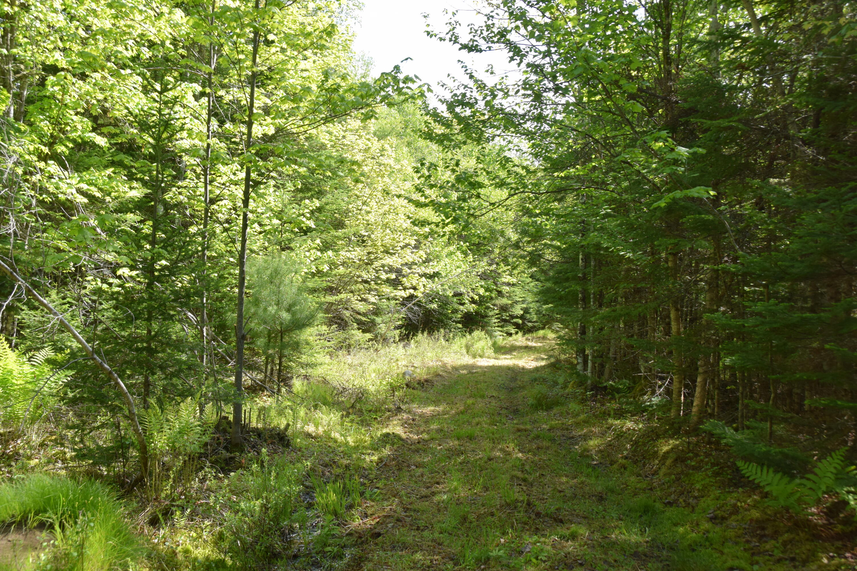 M10 L30 9 & 9a Birch Lane Property Photo 12
