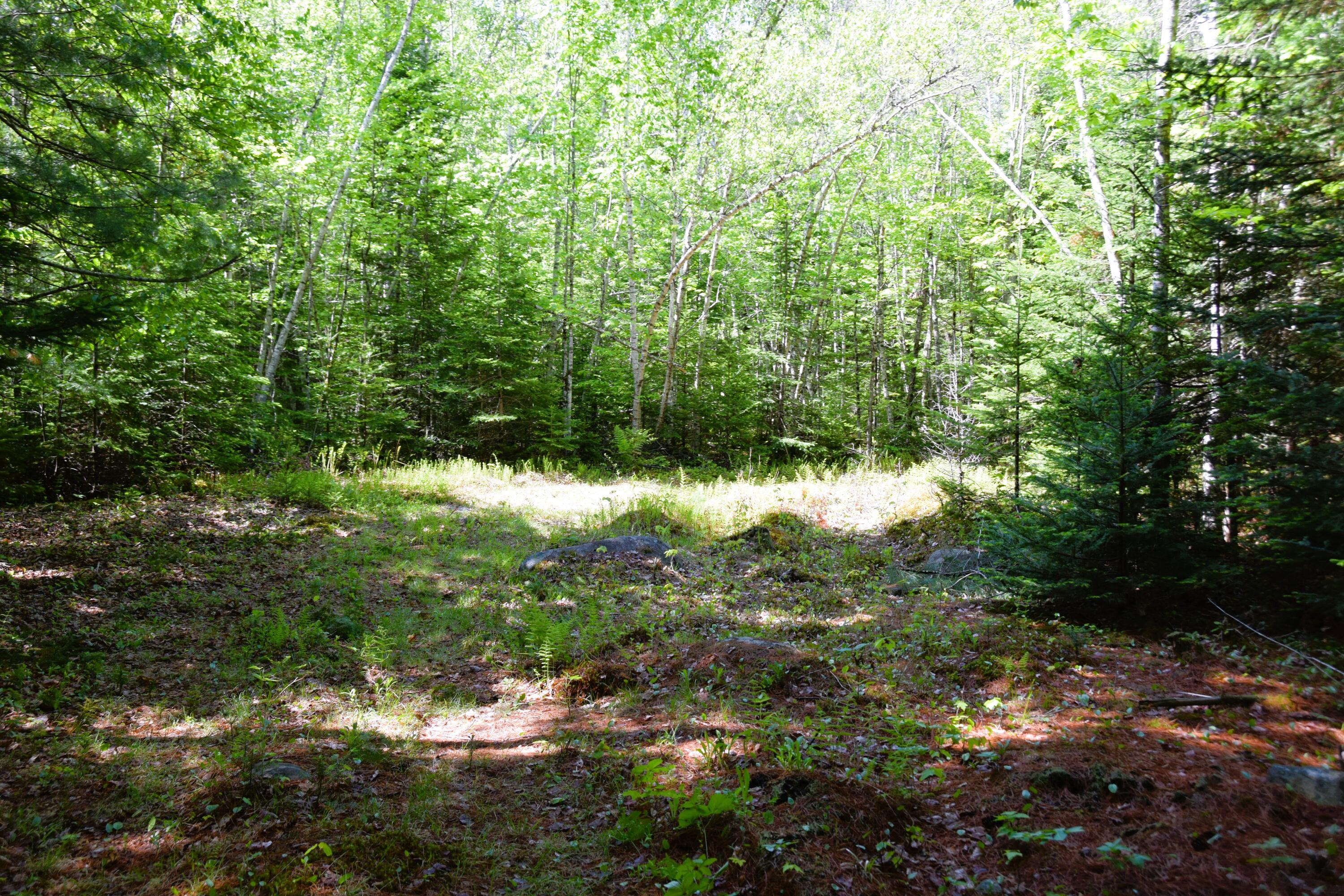 M10 L30 9 & 9a Birch Lane Property Photo 13
