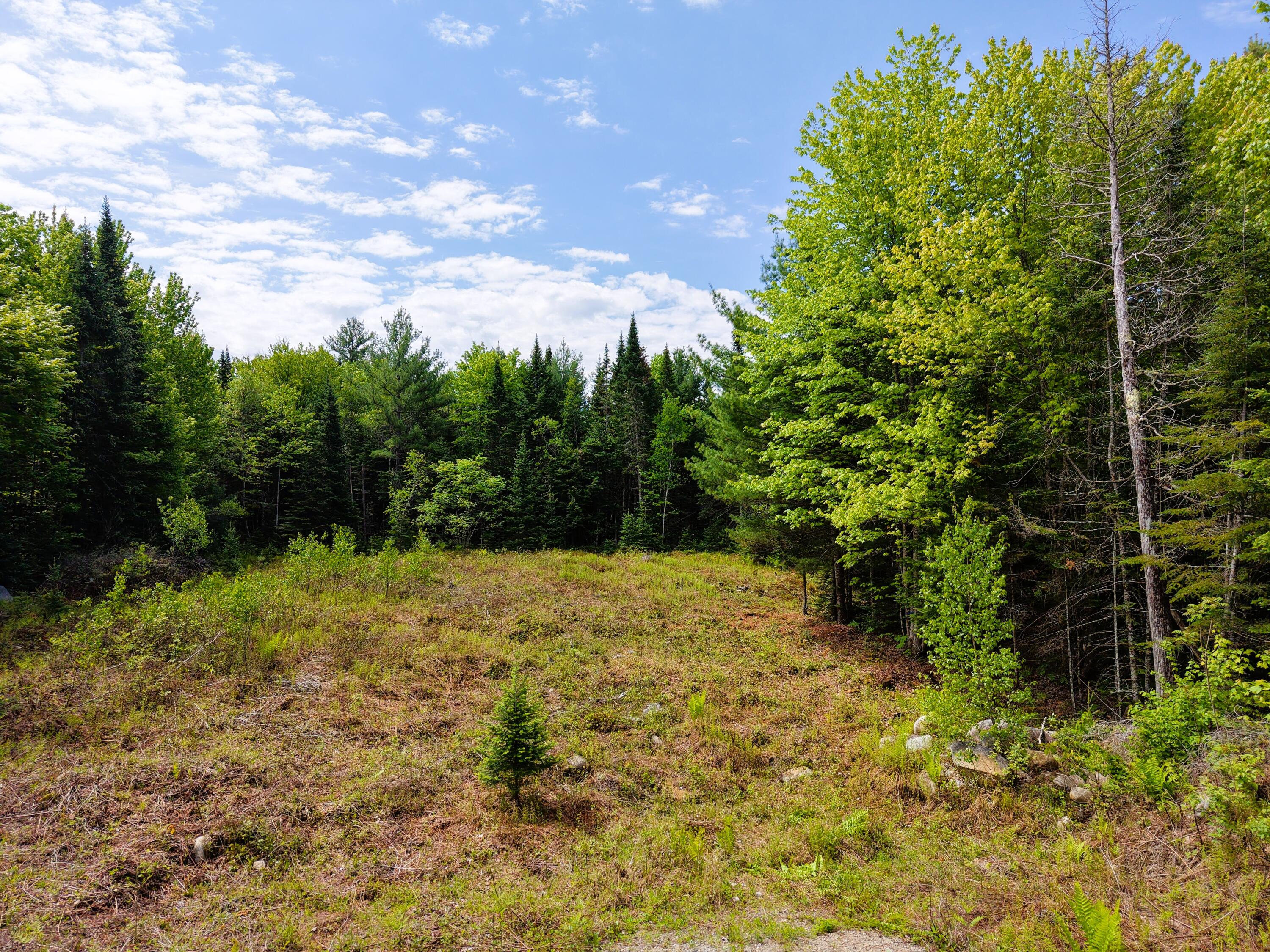 M10 L30 9 & 9a Birch Lane Property Photo 18