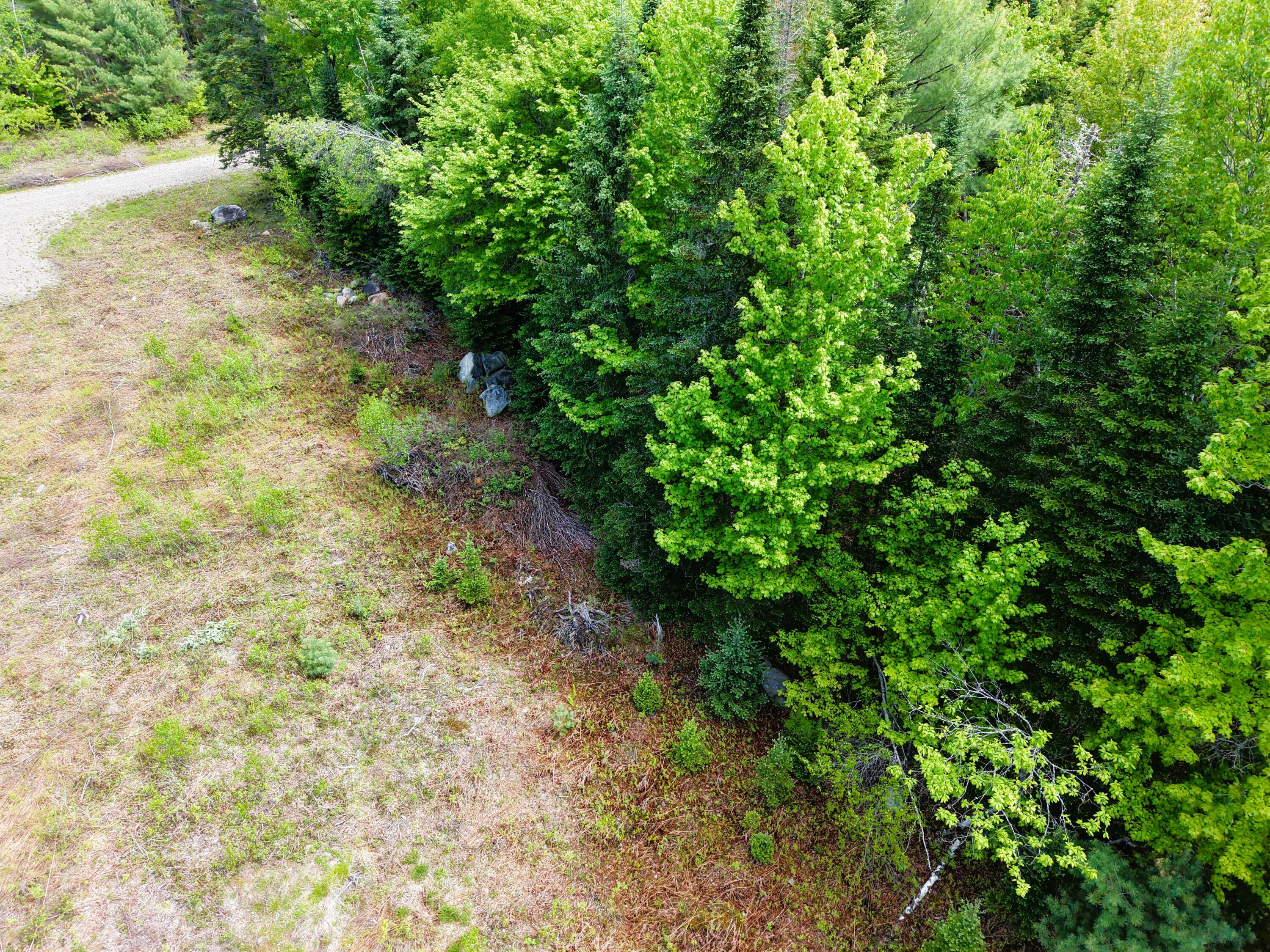 M10 L30 9 & 9a Birch Lane Property Photo 25