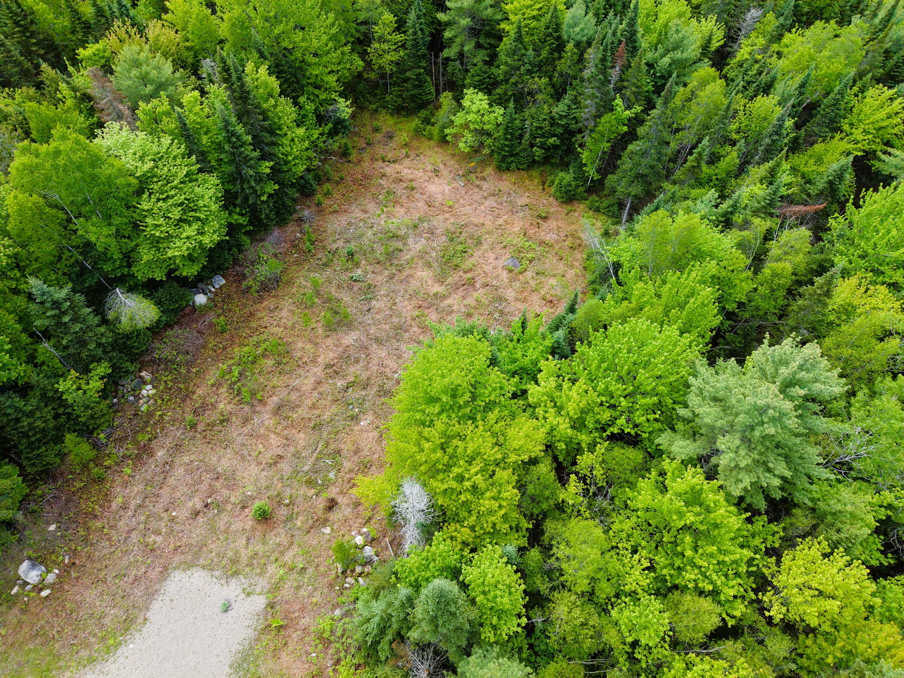 M10 L30 9 & 9a Birch Lane Property Photo 30