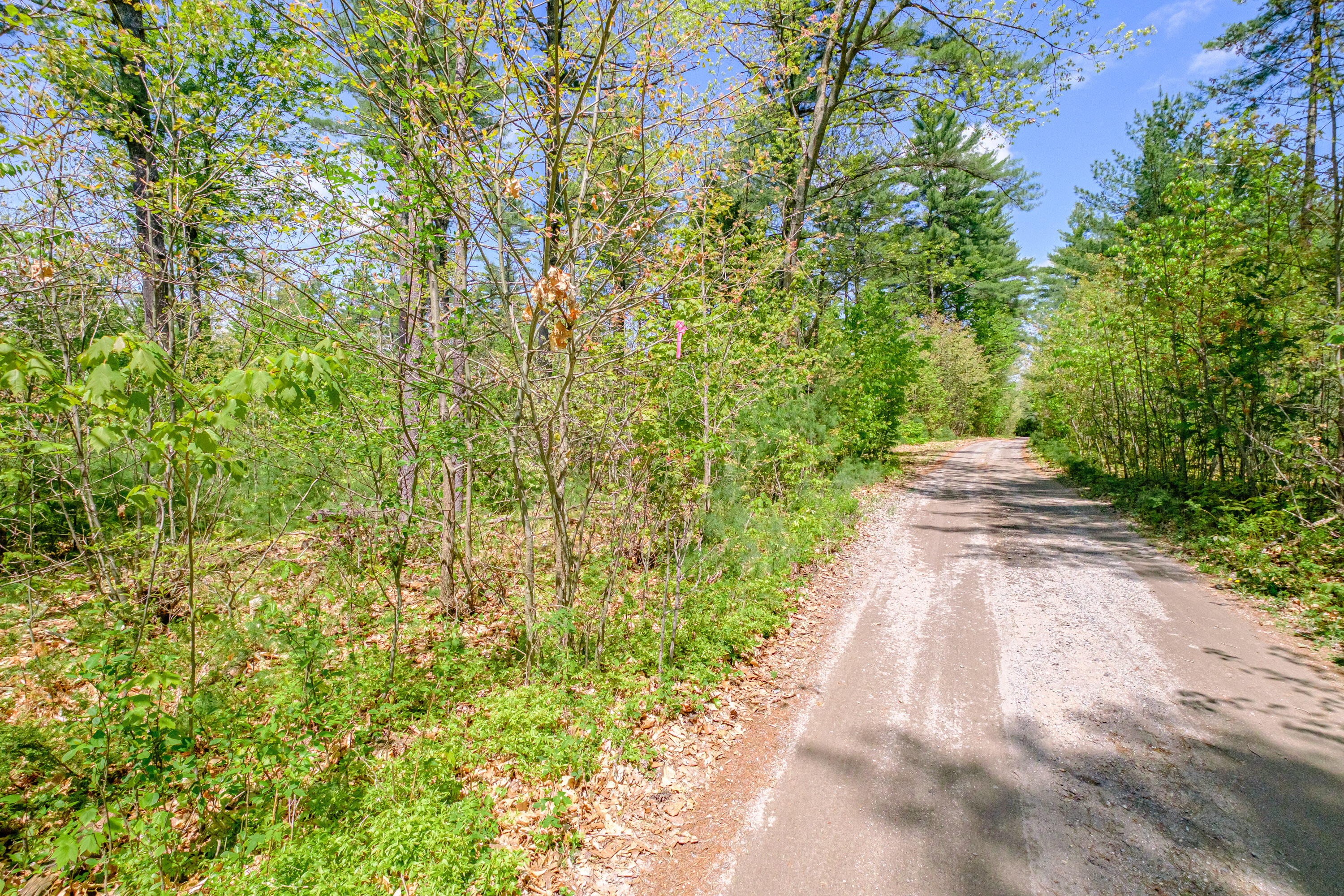 Lot 22 King Street Property Photo 10