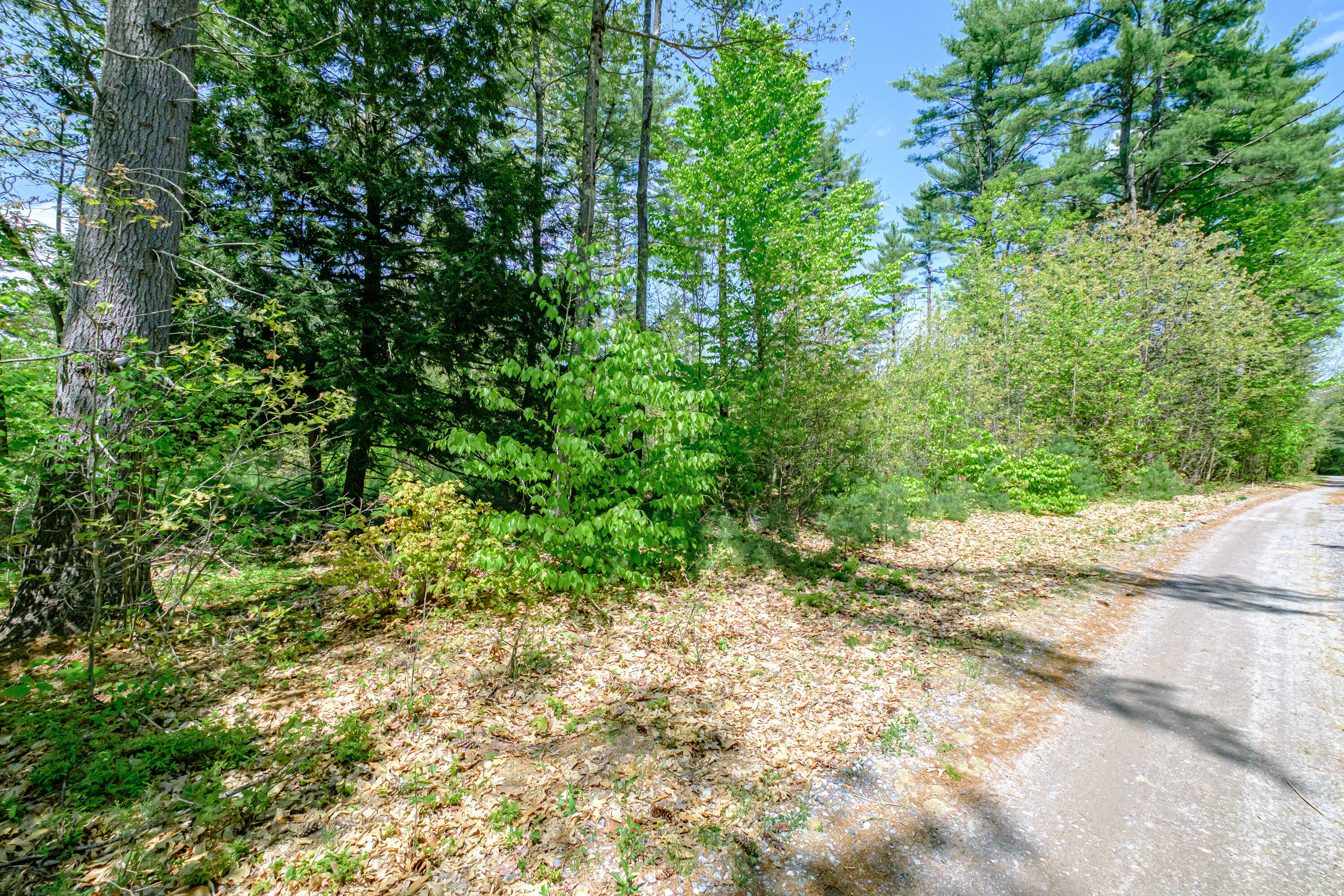 Lot 22 King Street Property Photo 11