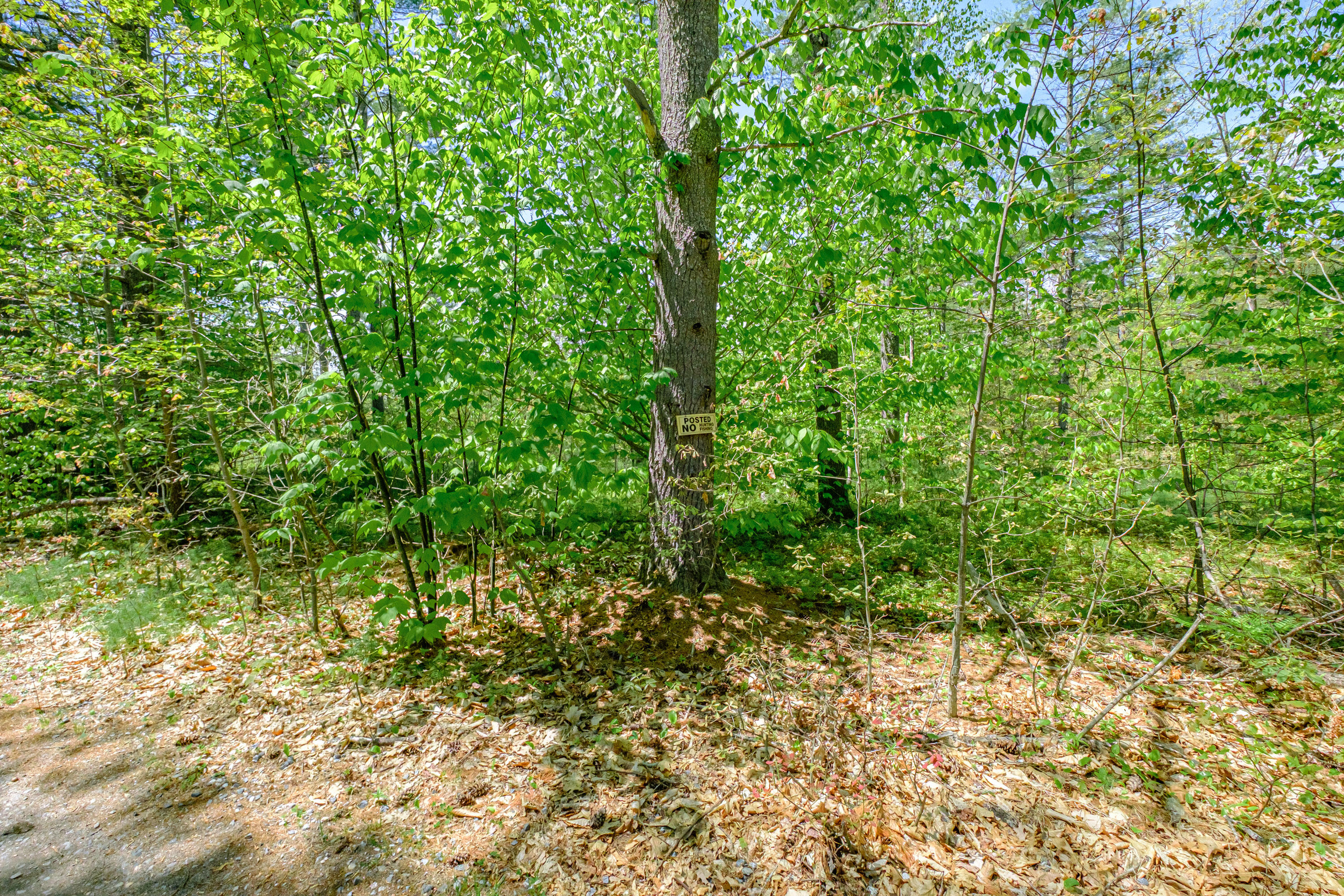 Lot 22 King Street Property Photo 15