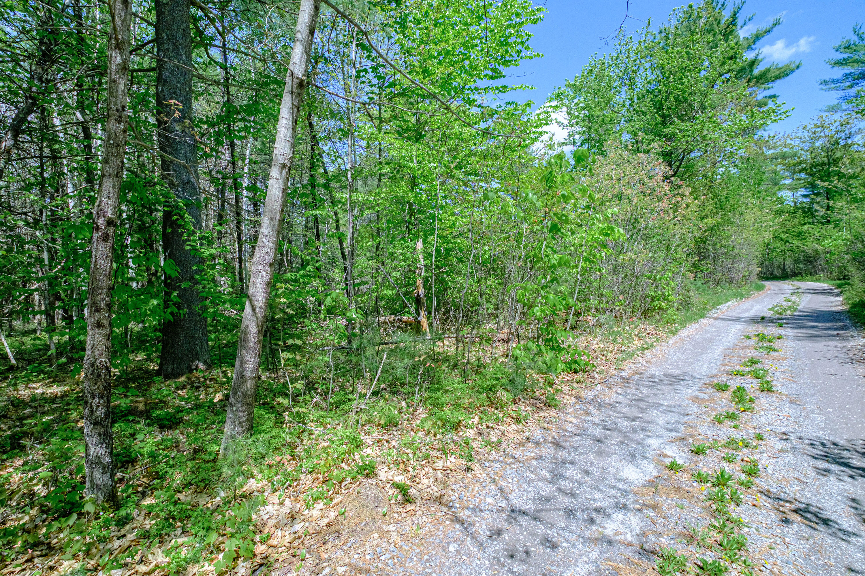 Lot 22 King Street Property Photo 21