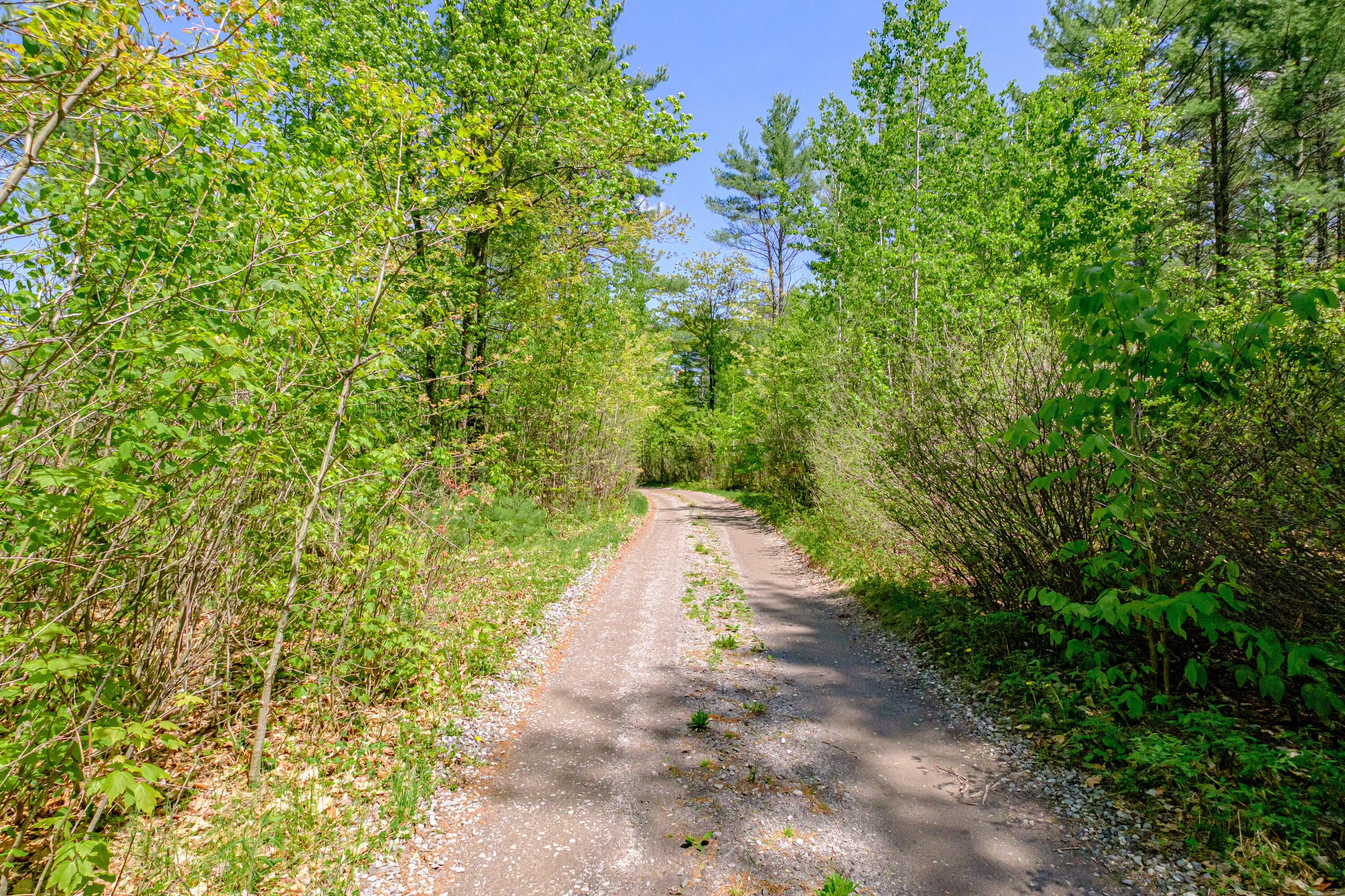 Lot 22 King Street Property Photo 23