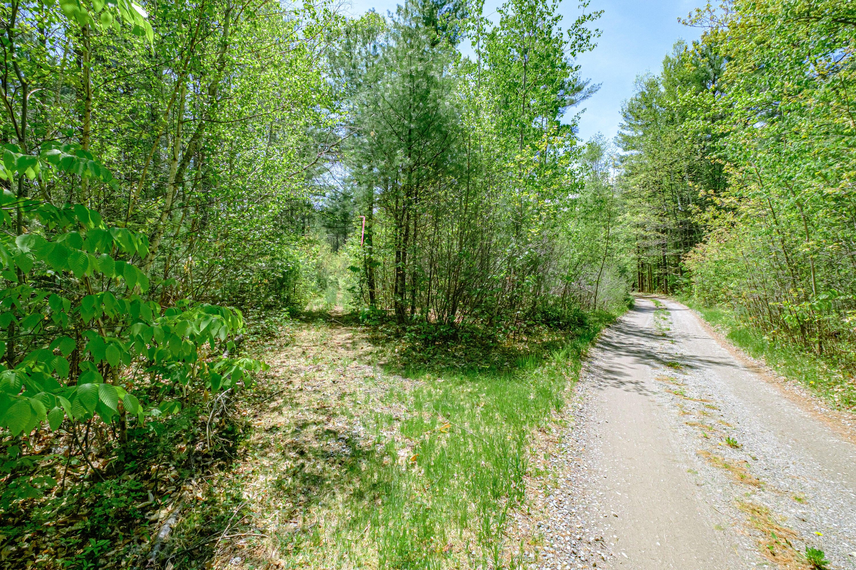 Lot 22 King Street Property Photo 25