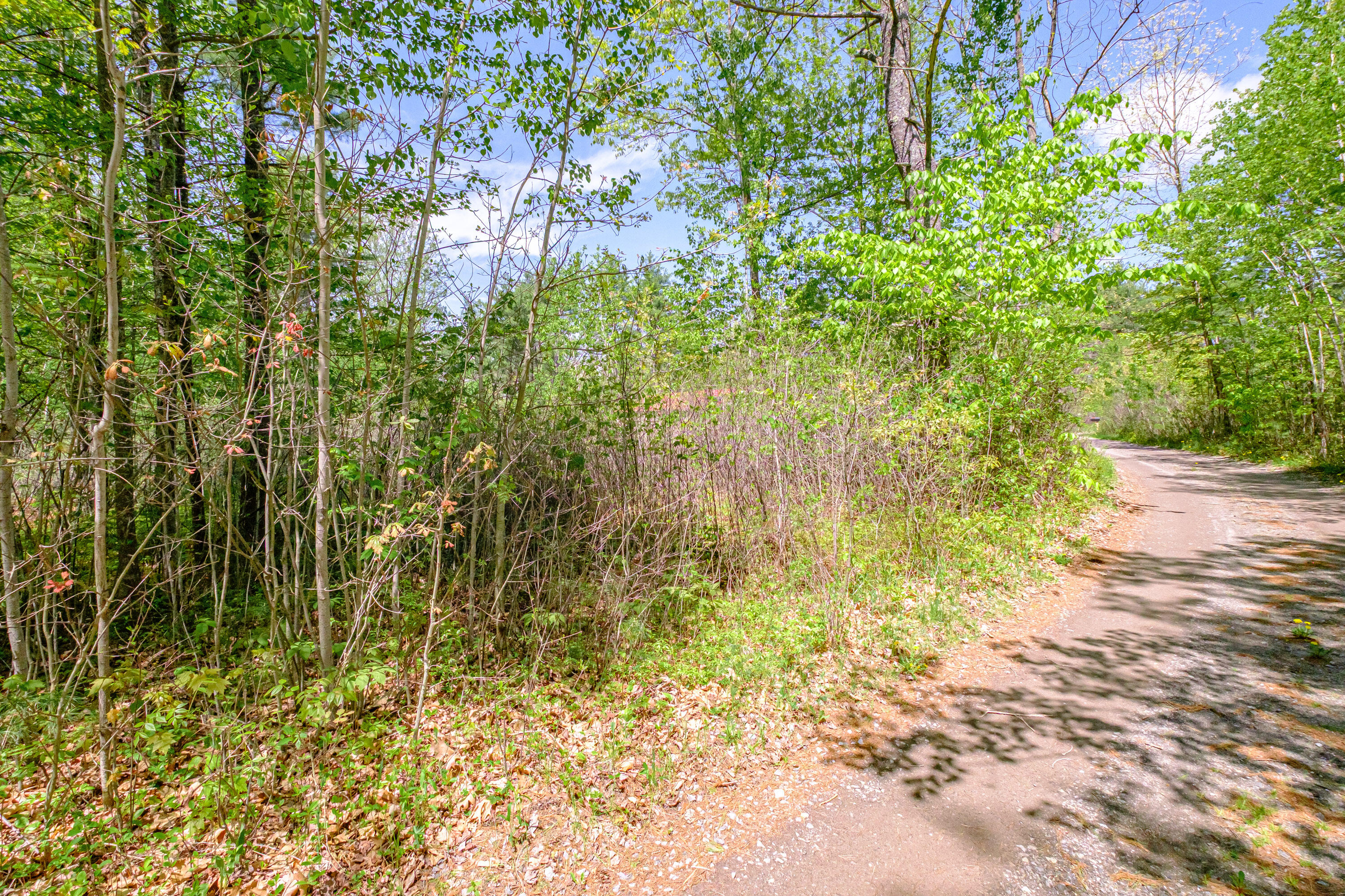 Lot 22 King Street Property Photo 26