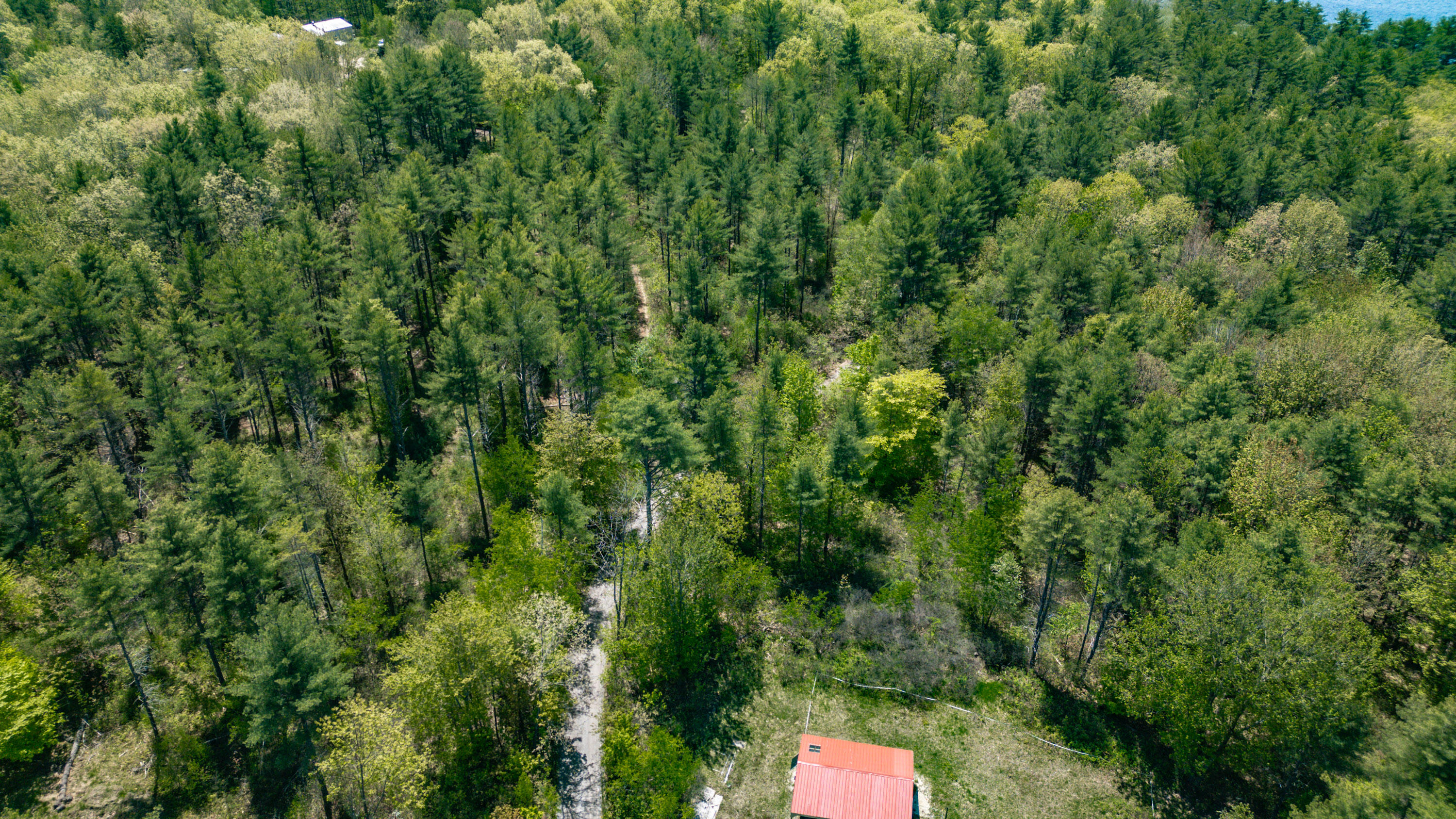 Lot 22 King Street Property Photo 75