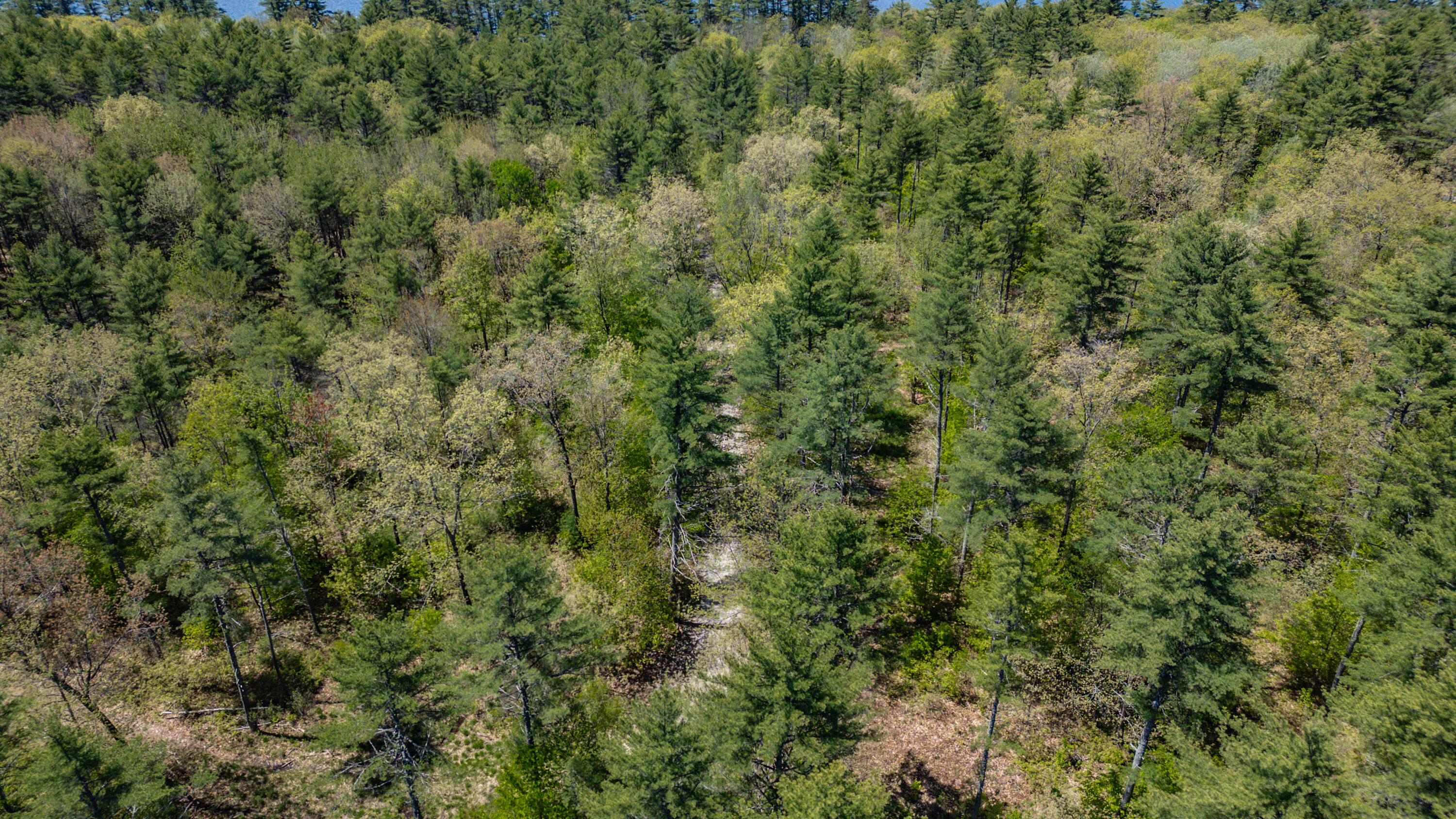 Lot 22 King Street Property Photo 82