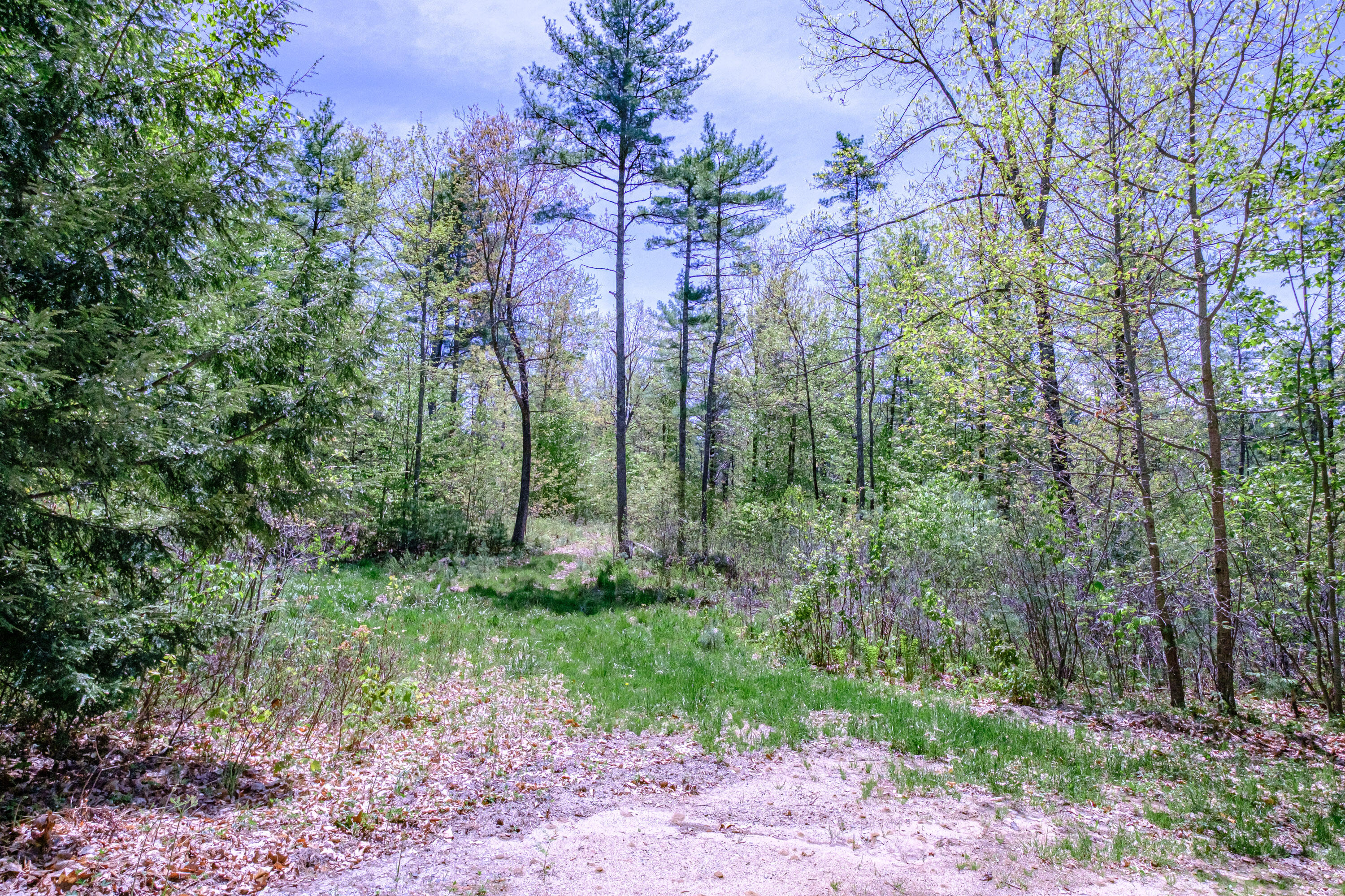 Lot 22 King Street Property Photo 98