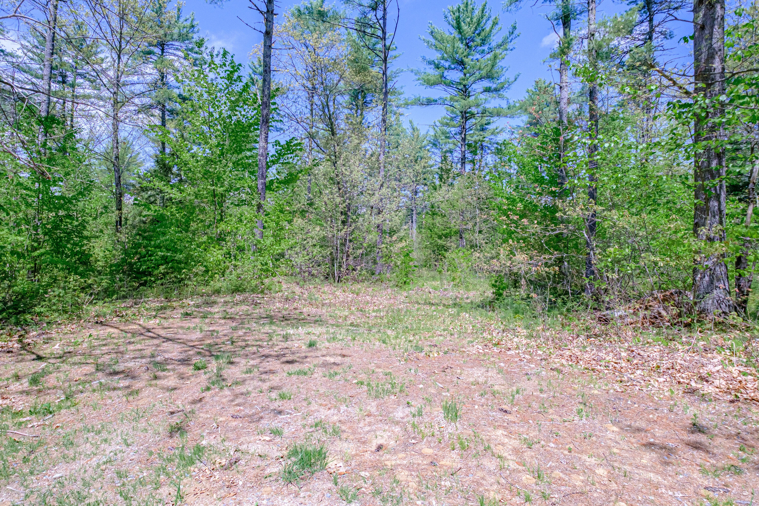 Lot 22 King Street Property Photo 99