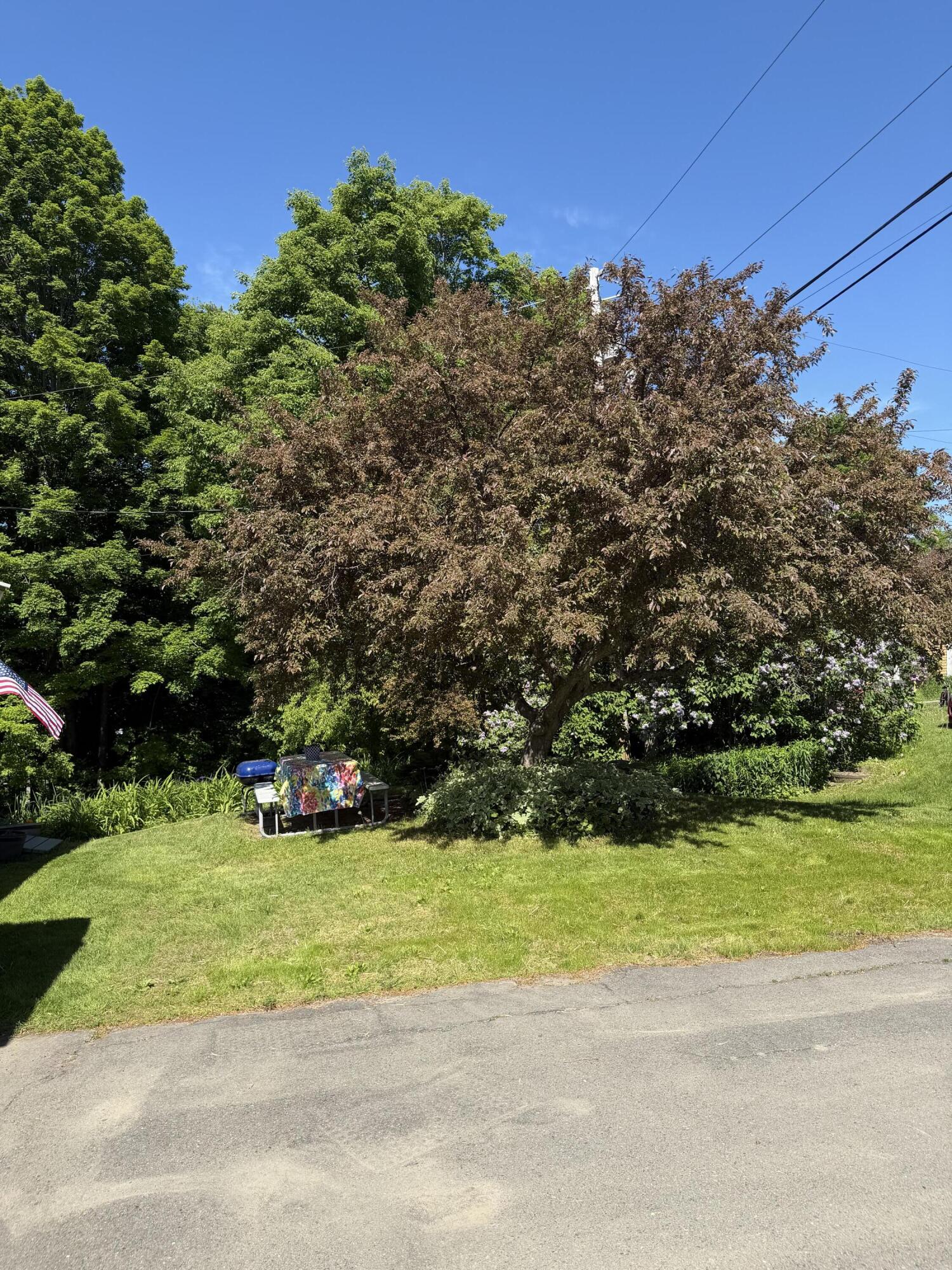 11 Mayo Street Property Photo 22