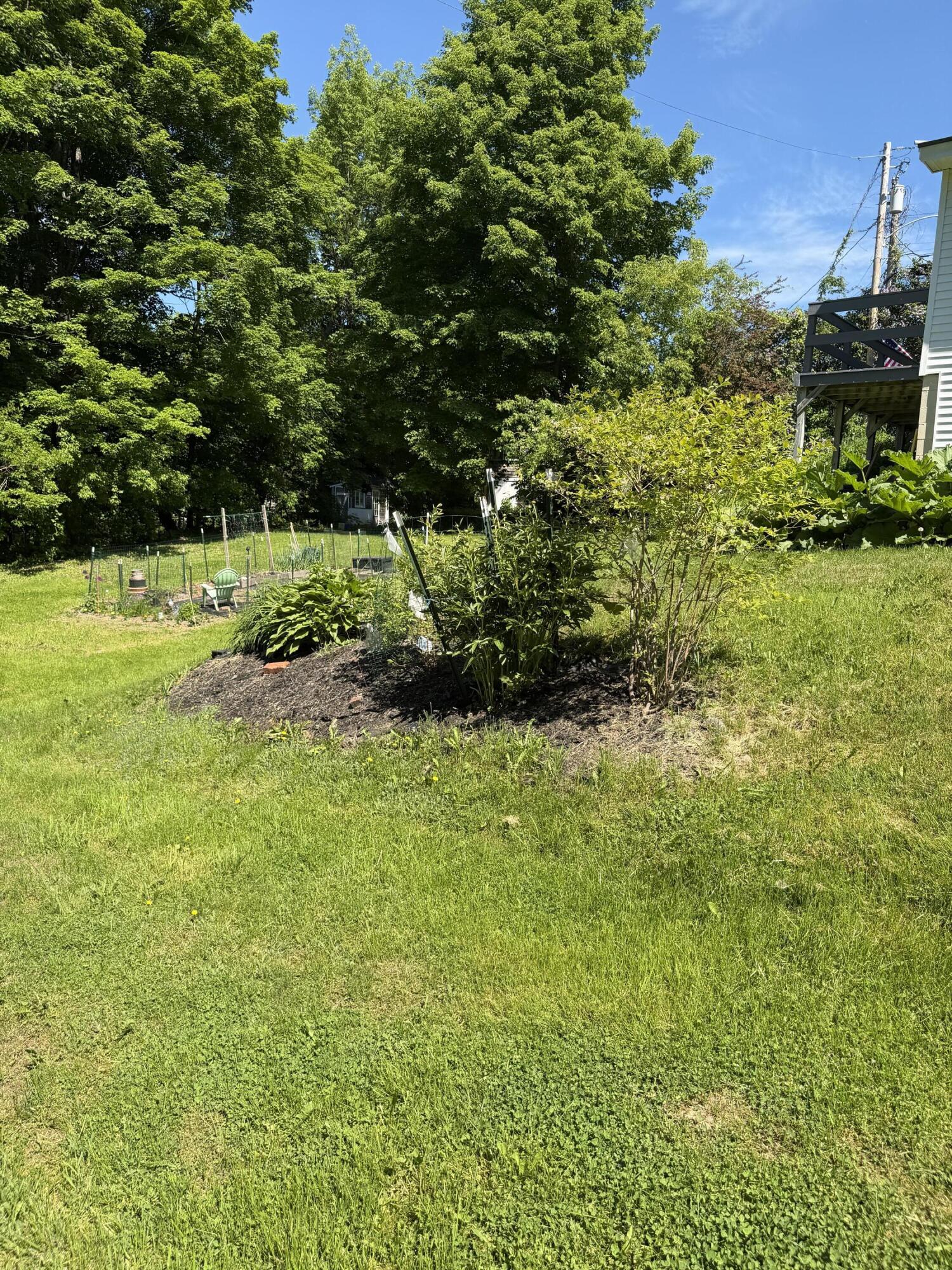 11 Mayo Street Property Photo 23