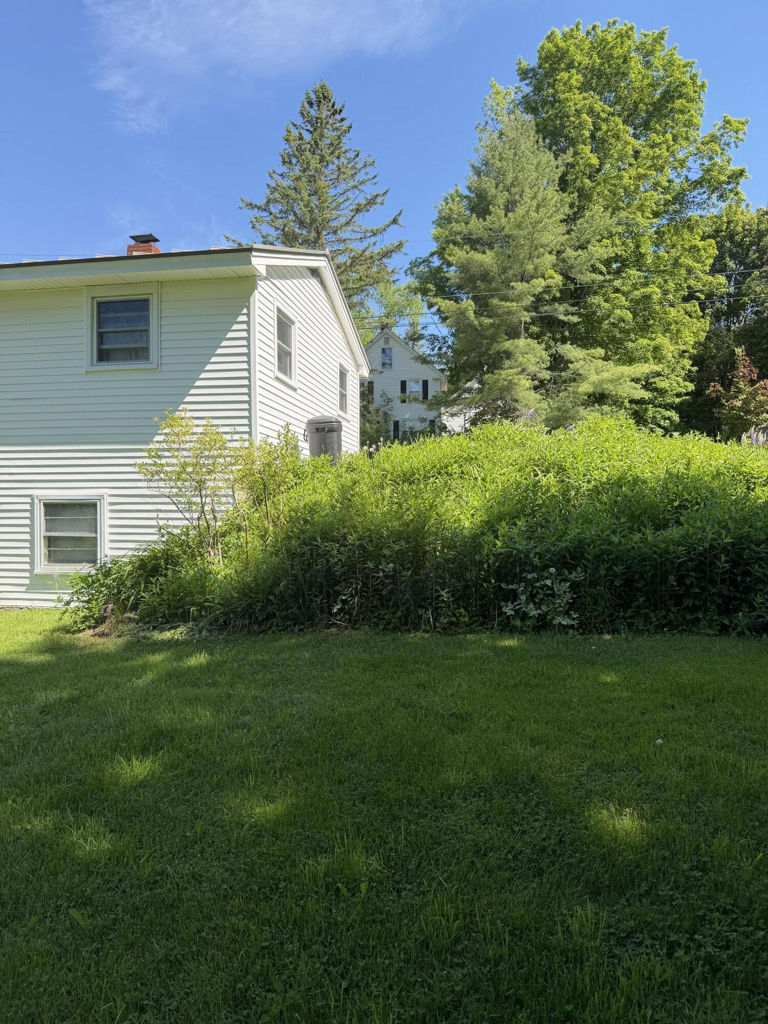 11 Mayo Street Property Photo 24