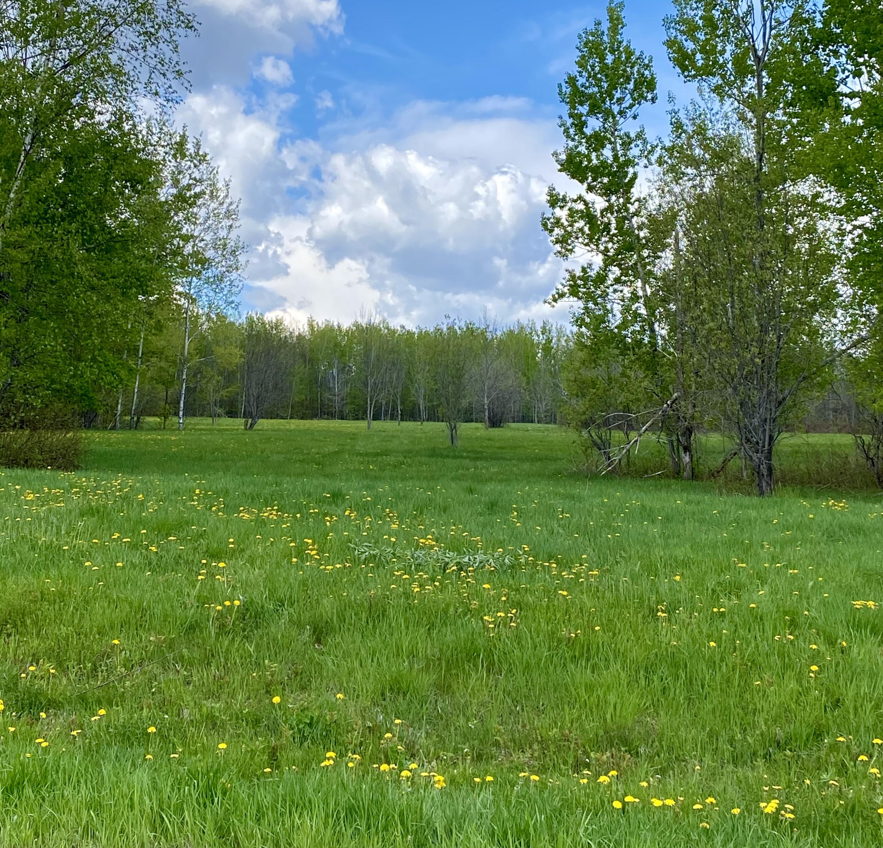 Lot 8 Clark Road Property Photo 1