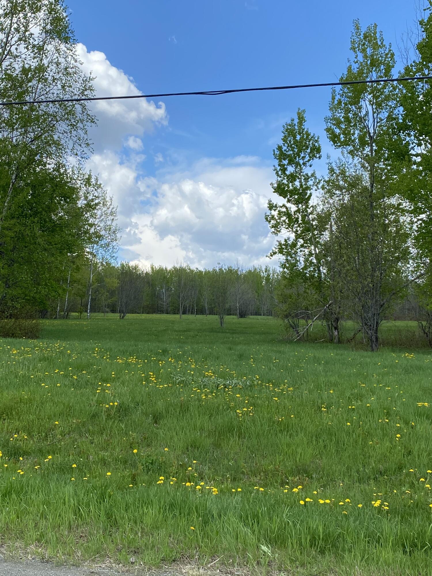 Lot 8 Clark Road Property Photo 3