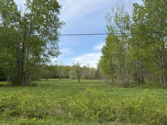 Lot 8 Clark Road Property Photo 4
