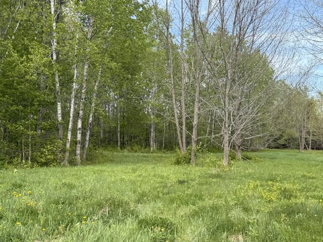 Lot 8 Clark Road Property Photo 5