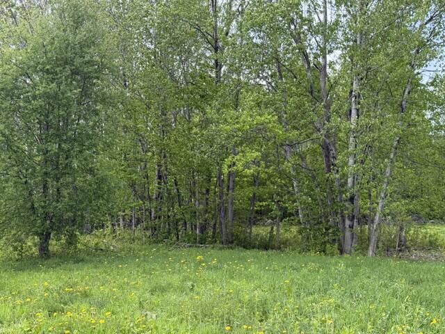 Lot 8 Clark Road Property Photo 6