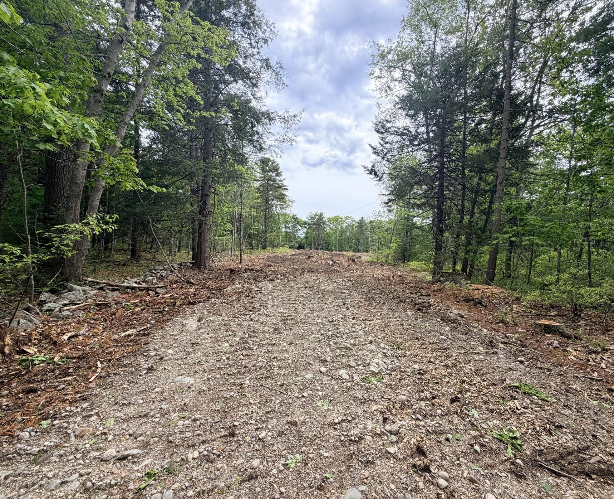 0 Wildes District Road Property Photo 1