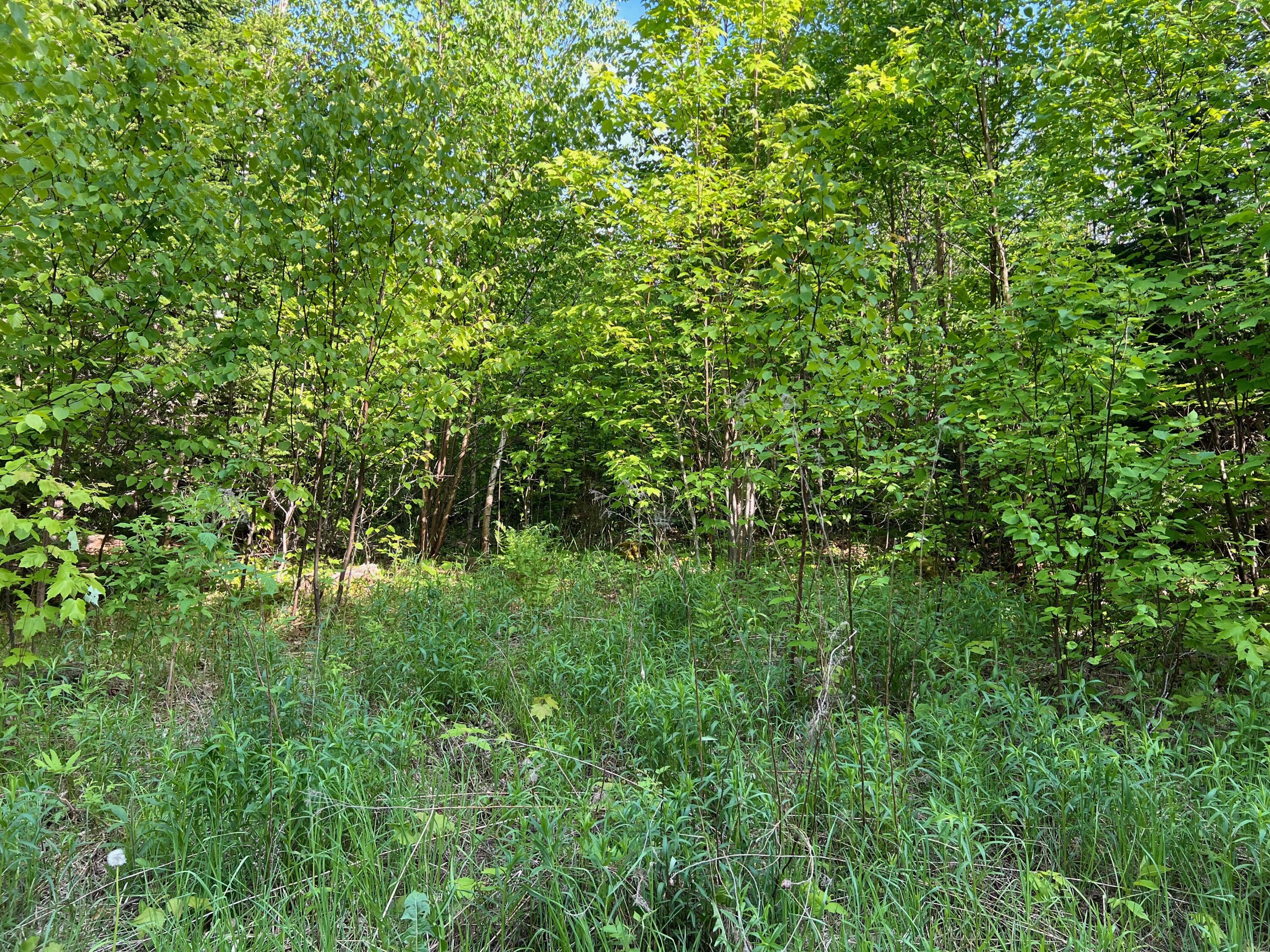 60 Hutchinson Road Property Photo 13