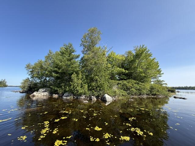 Lot 018 Pike Island Property Photo 2