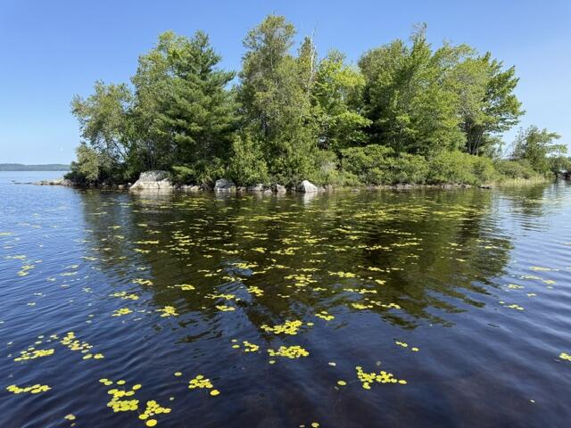 Lot 018 Pike Island Property Photo 22