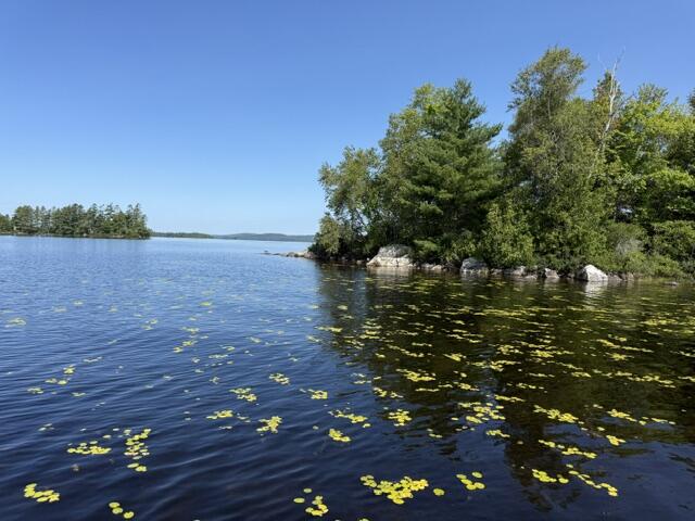 Lot 018 Pike Island Property Photo 23