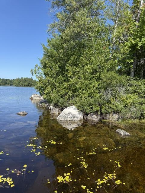 Lot 018 Pike Island Property Photo 24