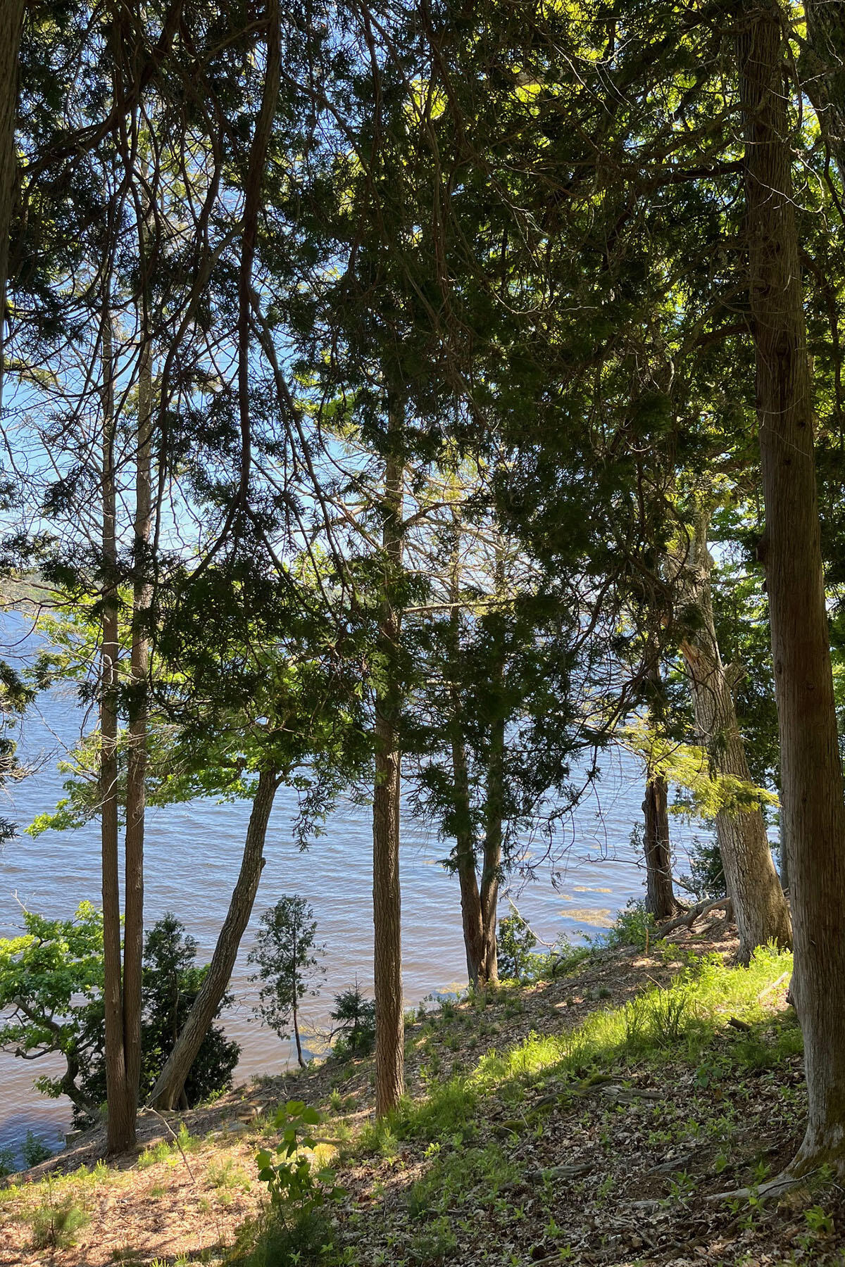 Lot#2 Kennebec Shores S Property Photo 9