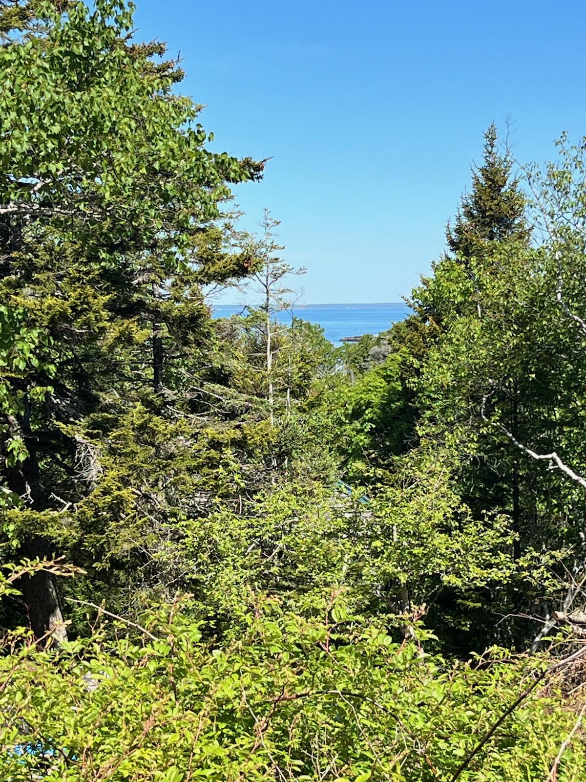 143 Blackhead Trail Property Photo 2