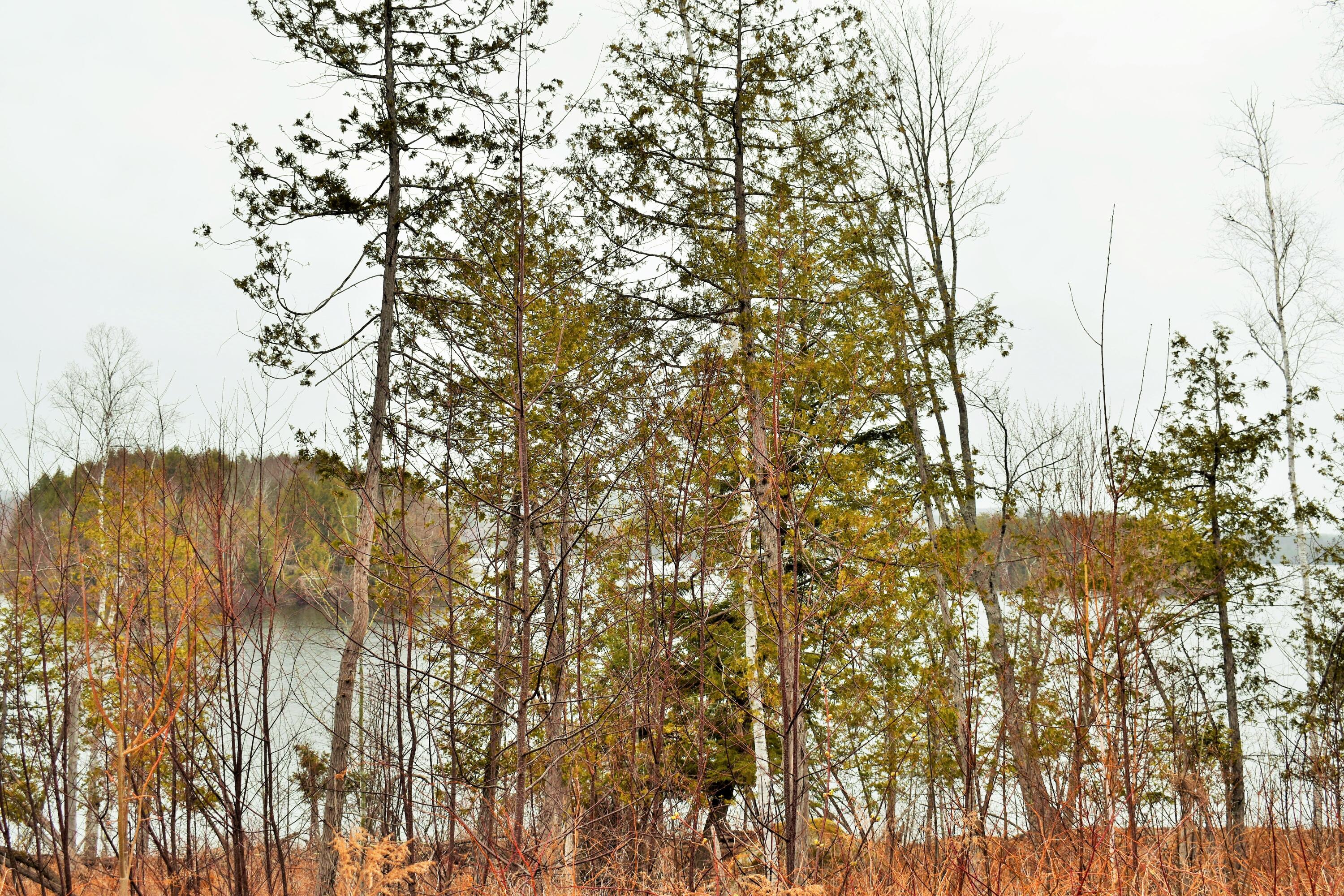 L 72 Property Photo 8