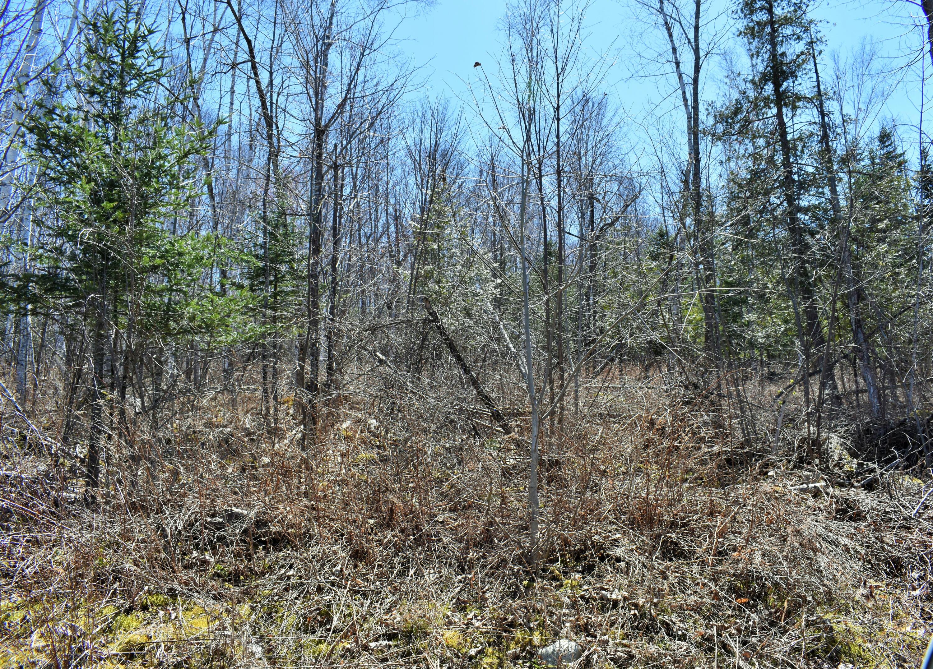 L 72 Property Photo 23