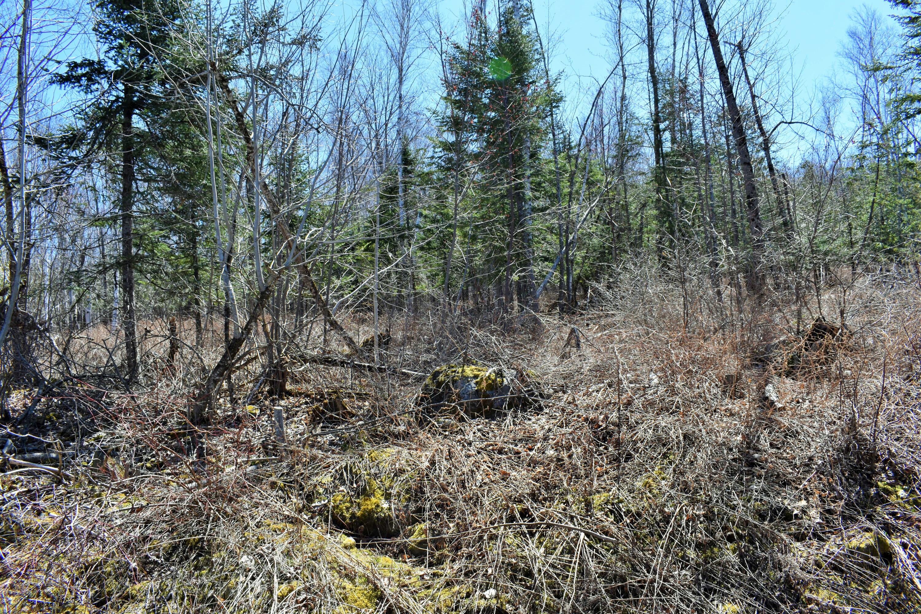 L 72 Property Photo 24