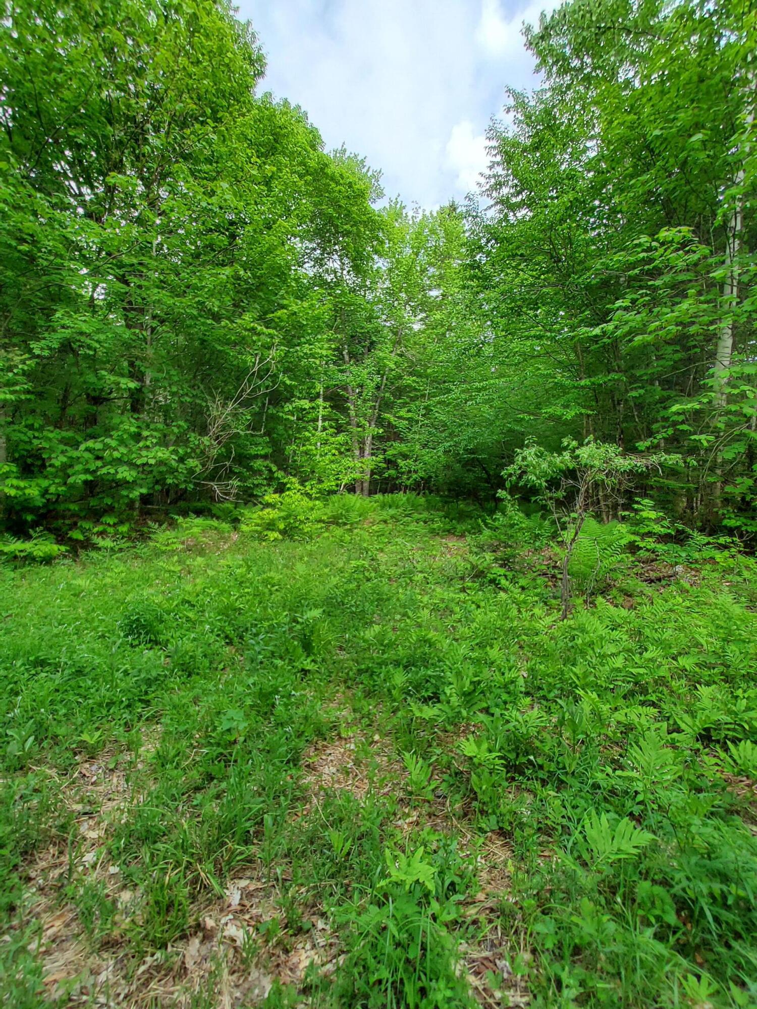 Lot 50 (map 14) Property Photo 1