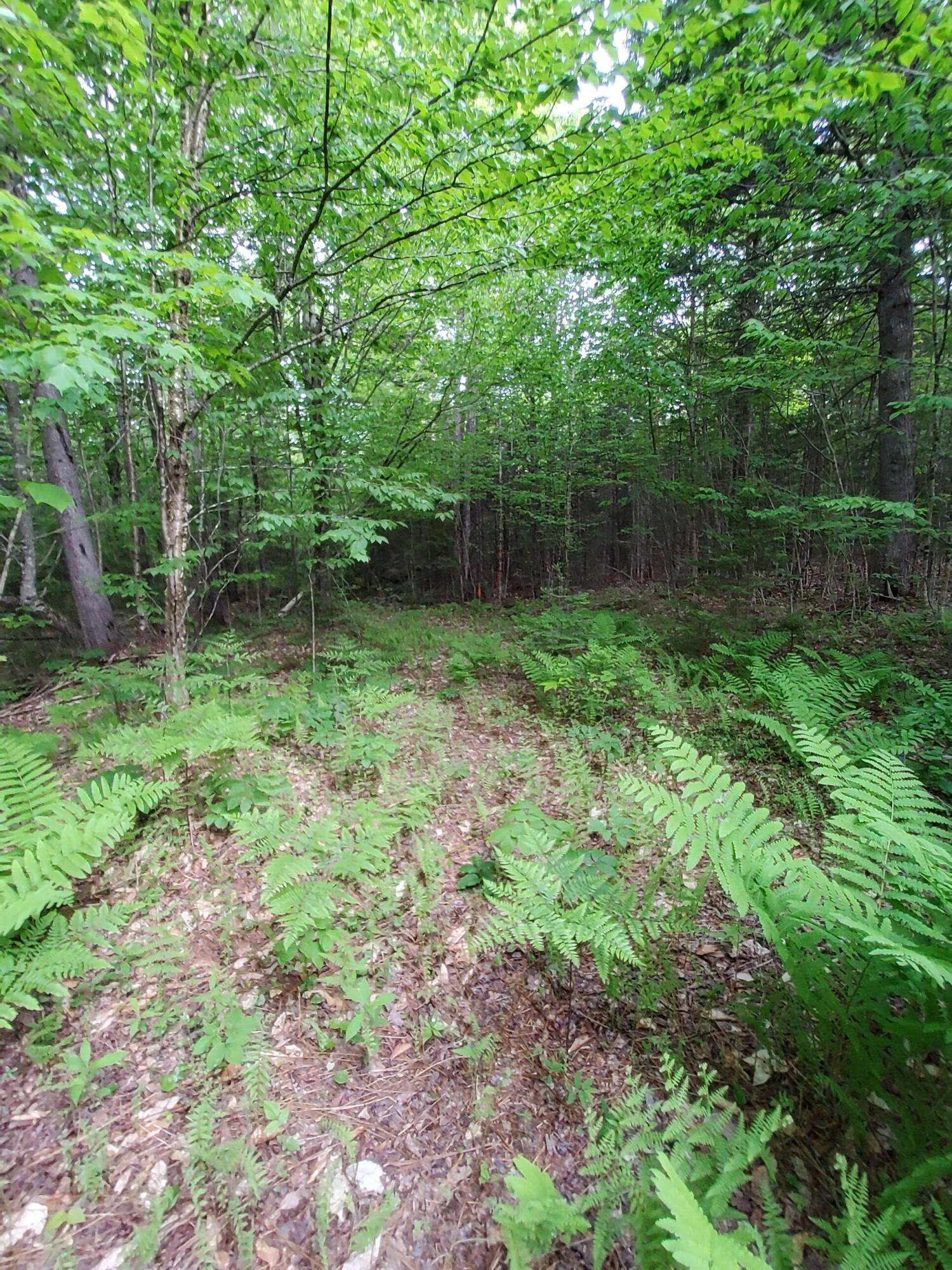 Lot 50 (map 14) Property Photo 4