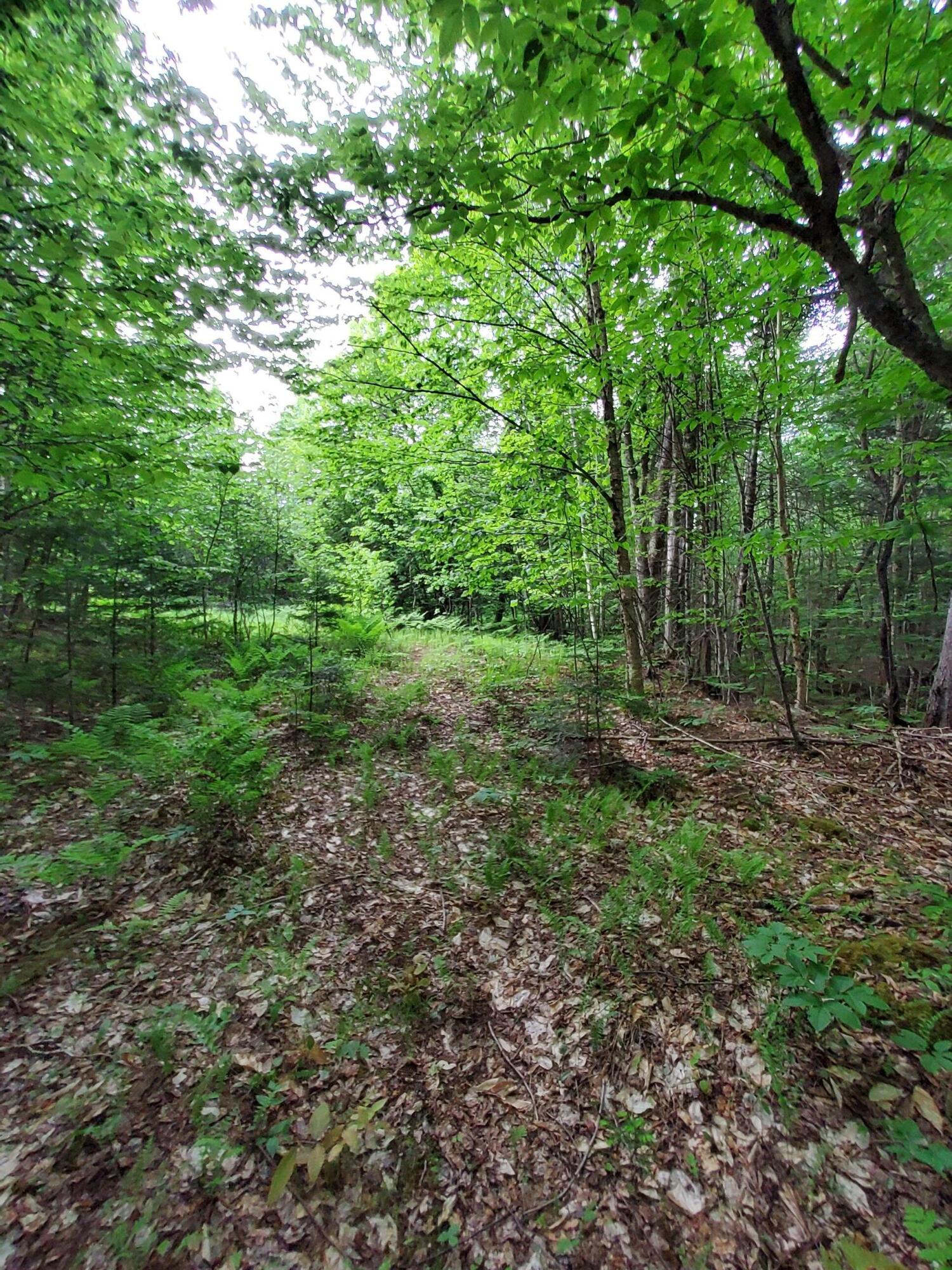 Lot 50 (map 14) Property Photo 6
