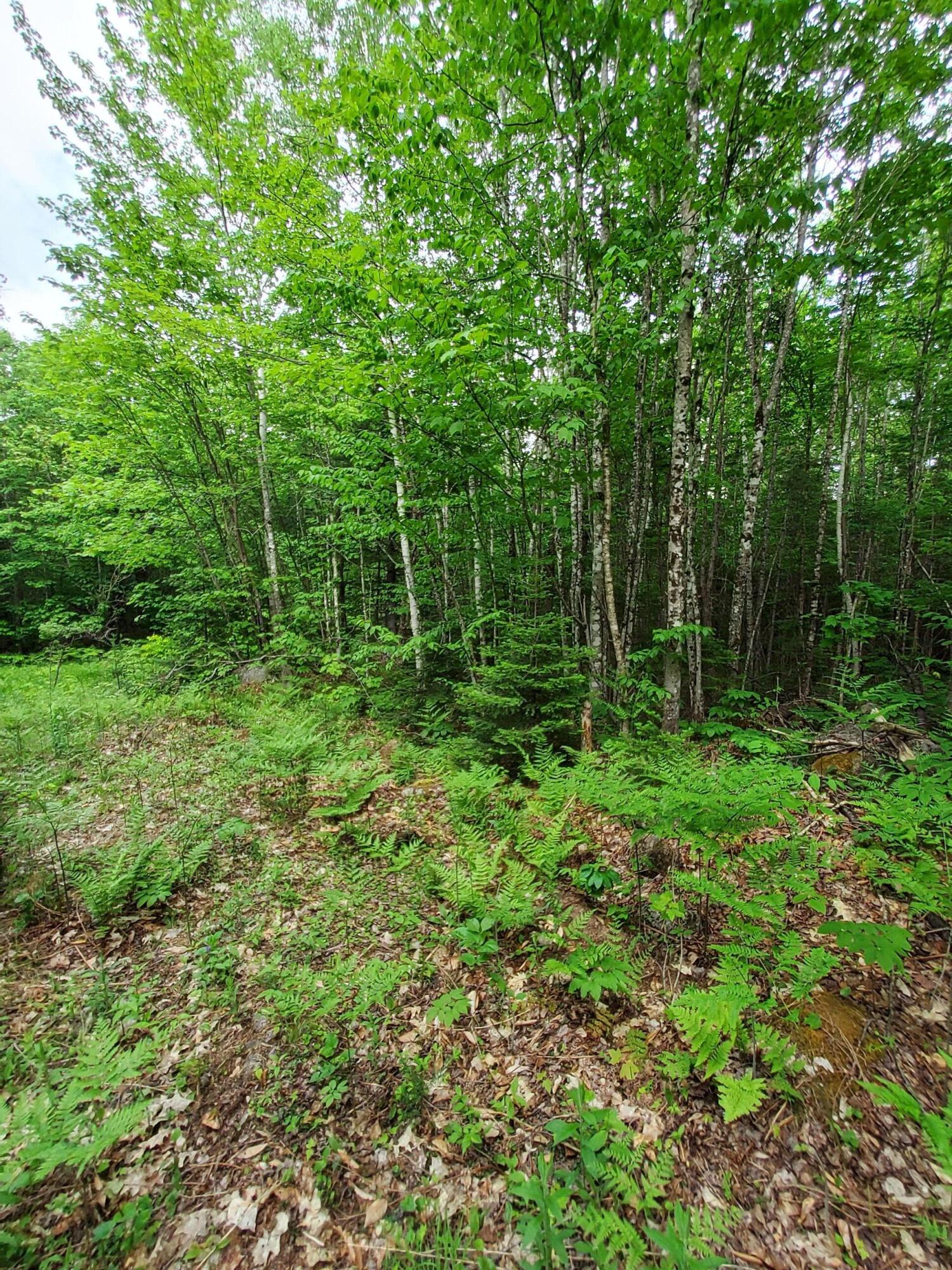 Lot 50 (map 14) Property Photo 7