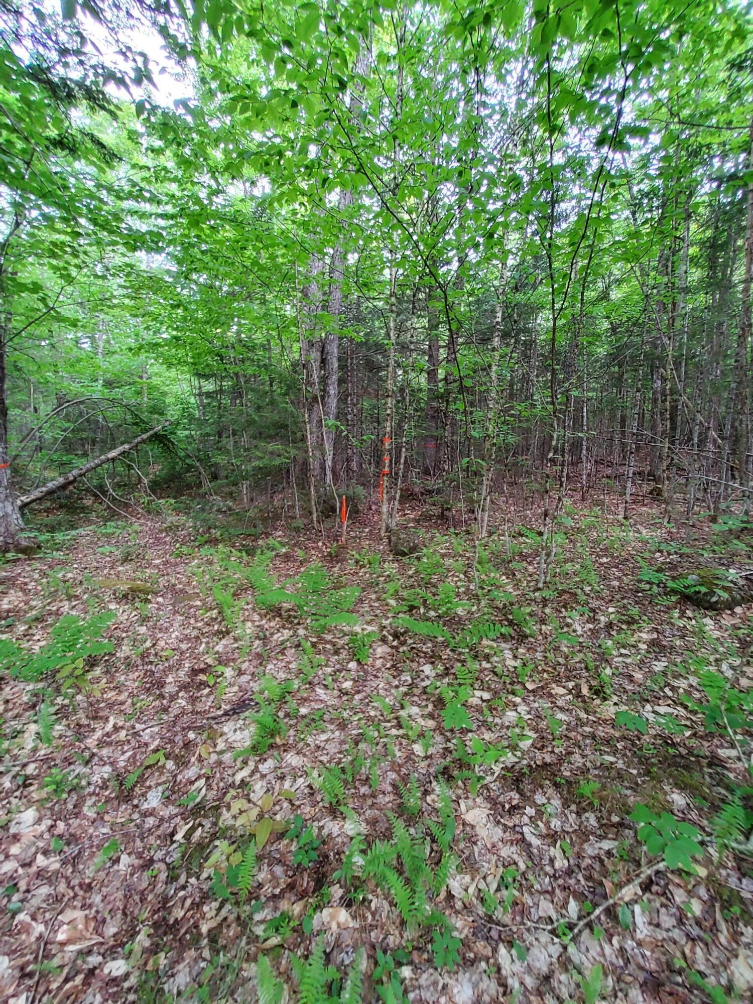 Lot 50 (map 14) Property Photo 8