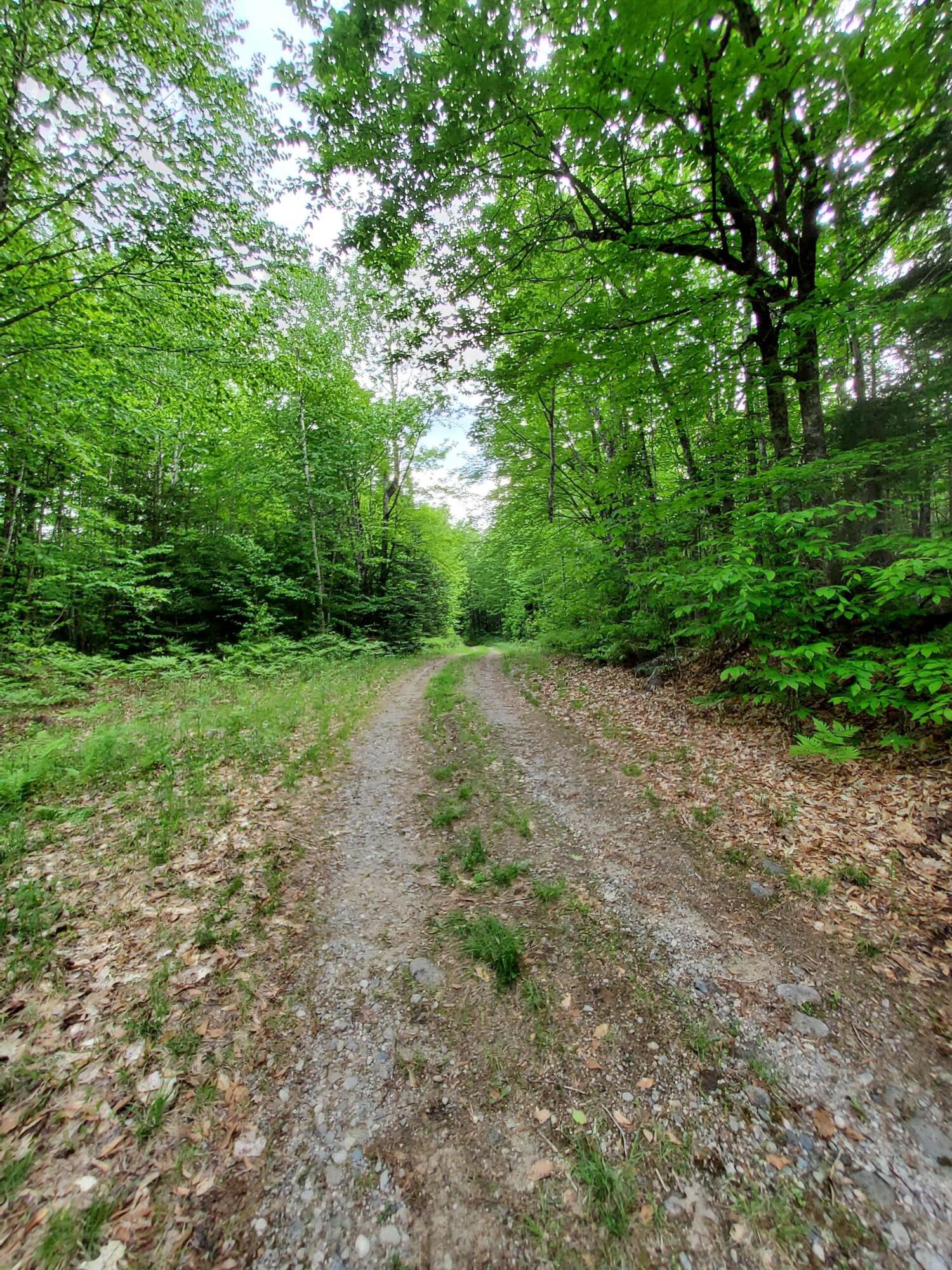Lot 50 (map 14) Property Photo 16
