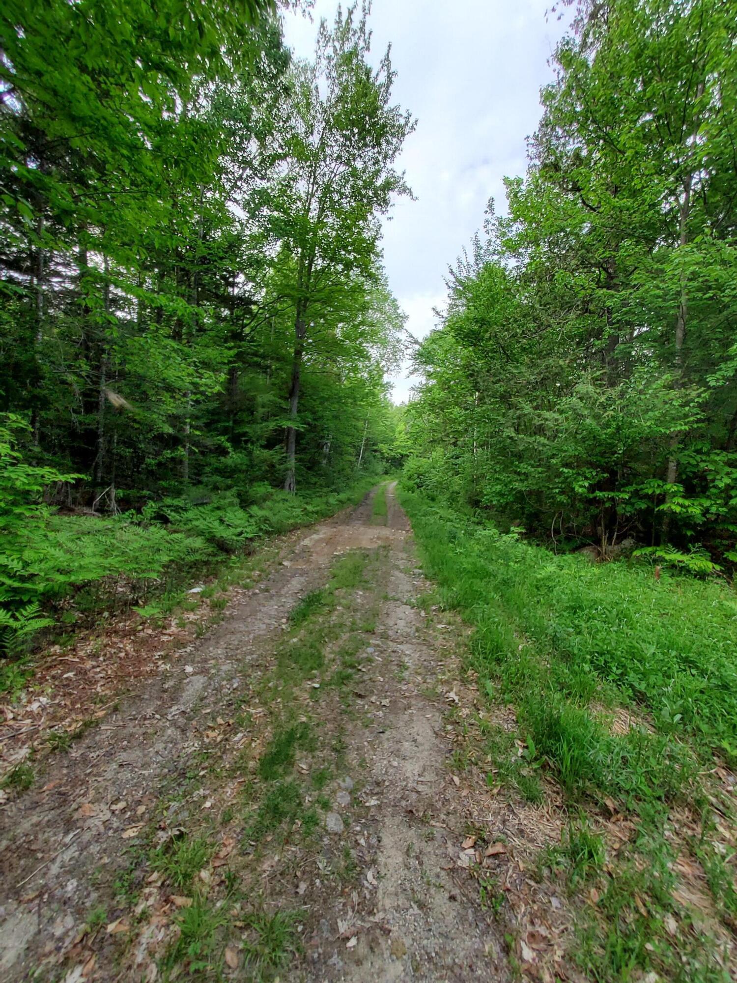 Lot 50 (map 14) Property Photo 17