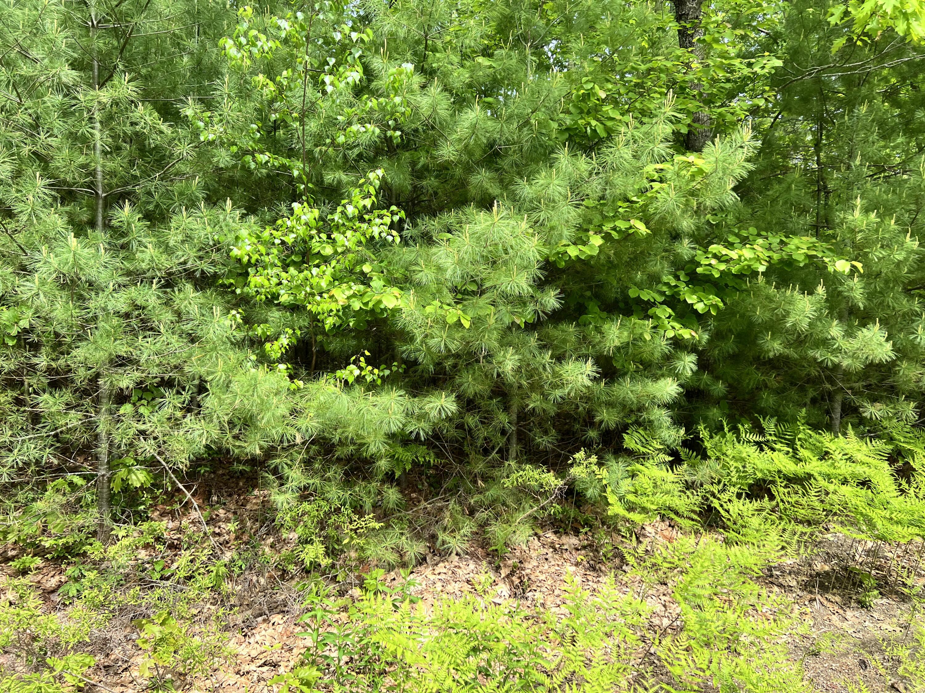 33 Serenity Lane Property Photo 2