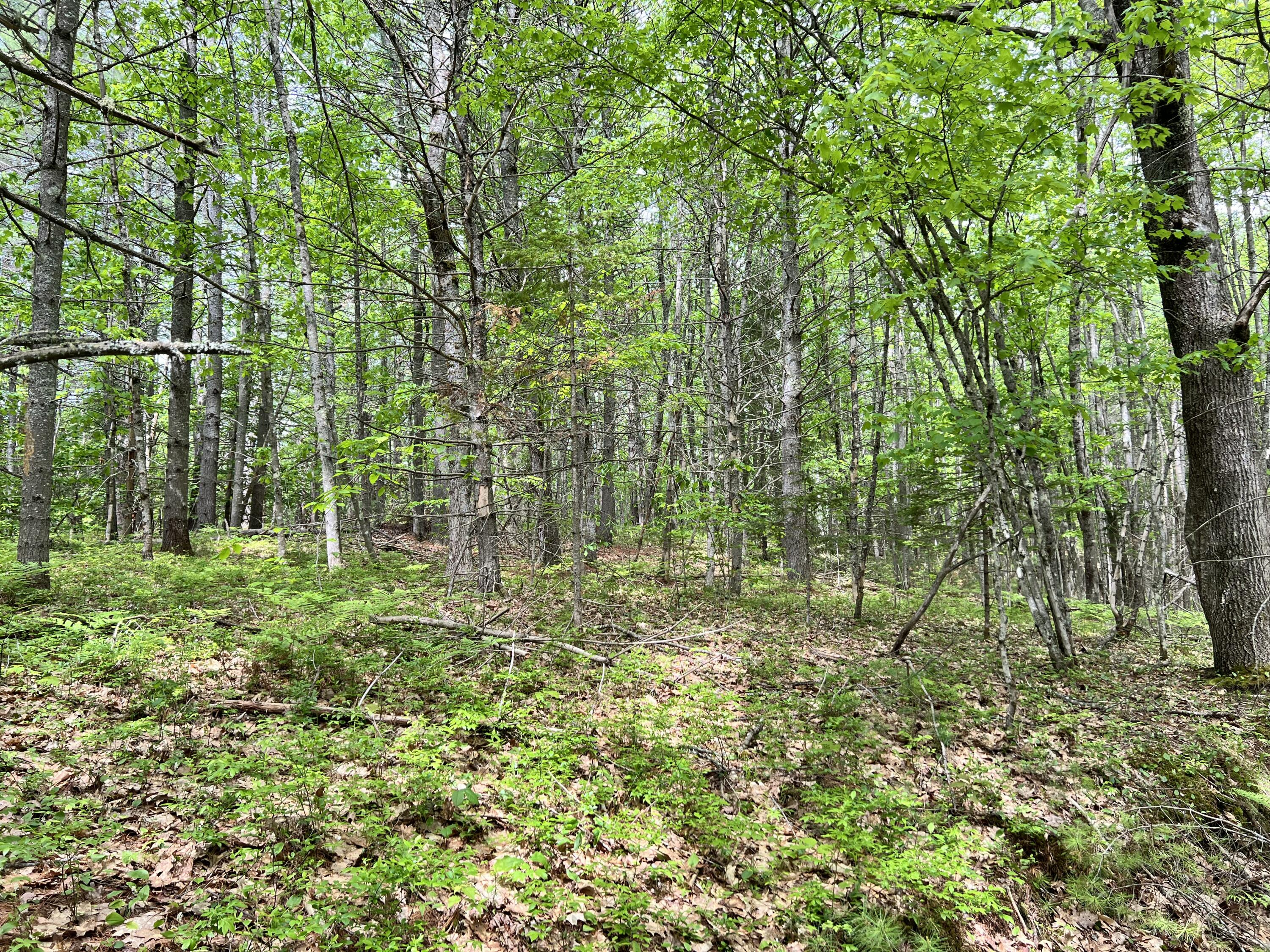 33 Serenity Lane Property Photo 14