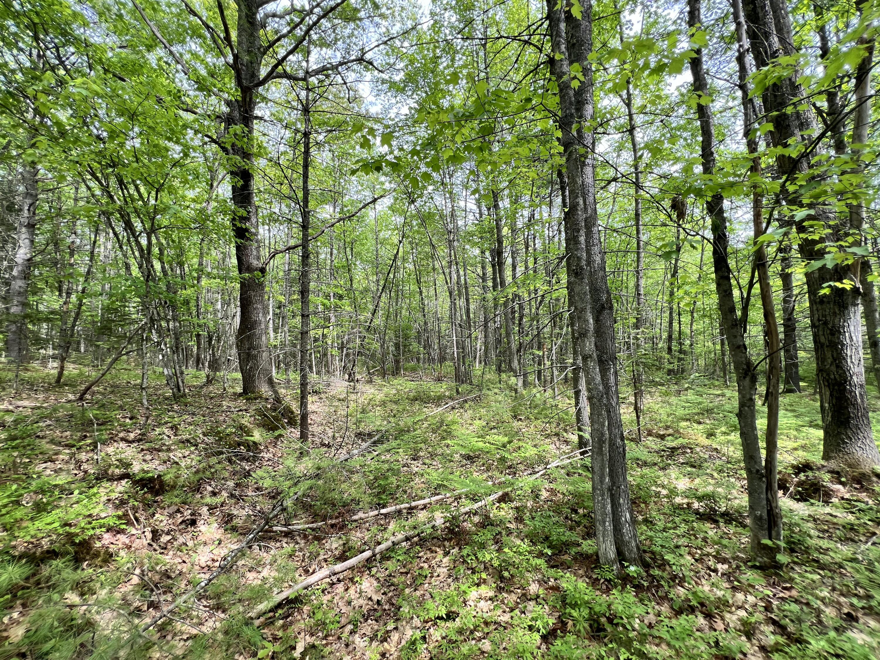 33 Serenity Lane Property Photo 16