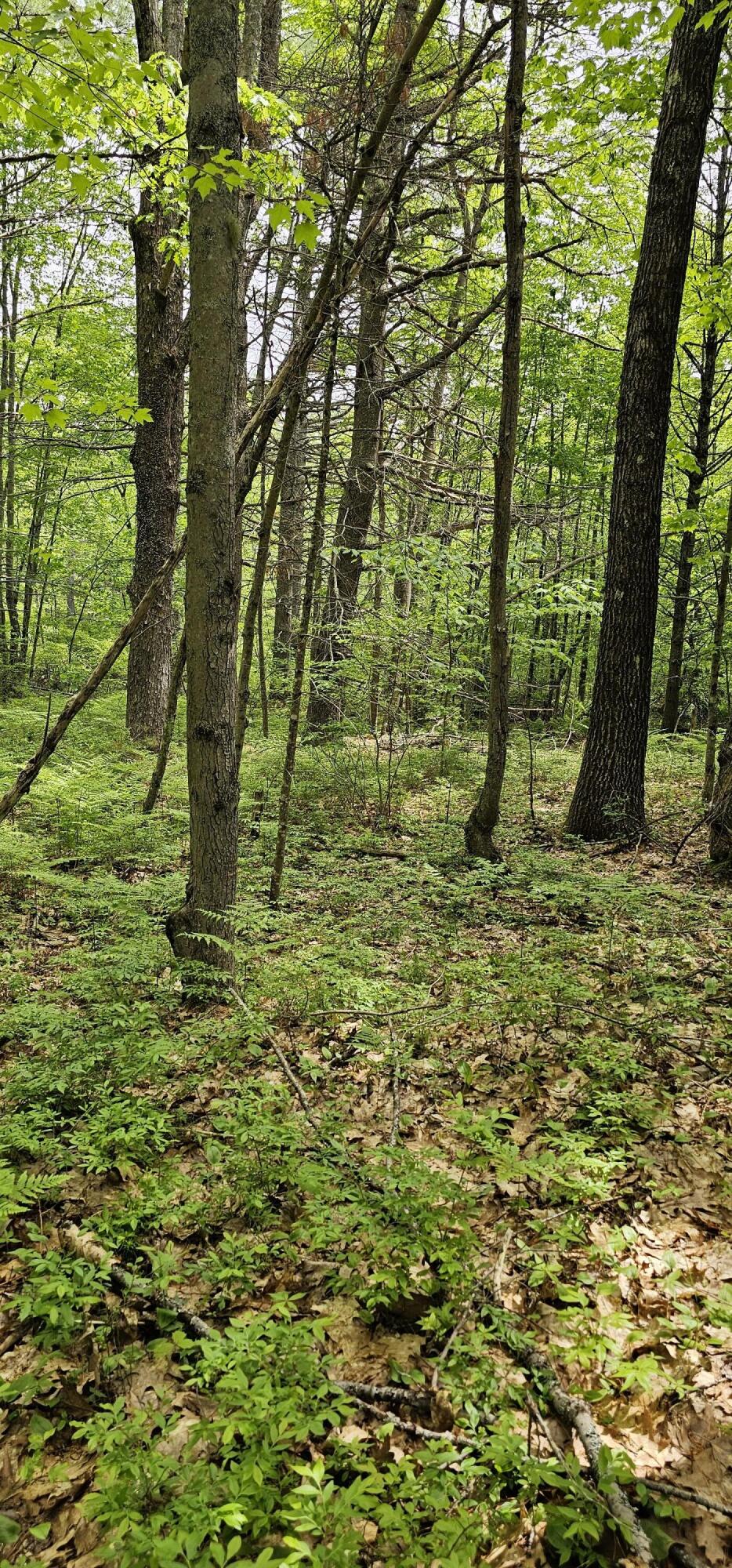 33 Serenity Lane Property Photo 18