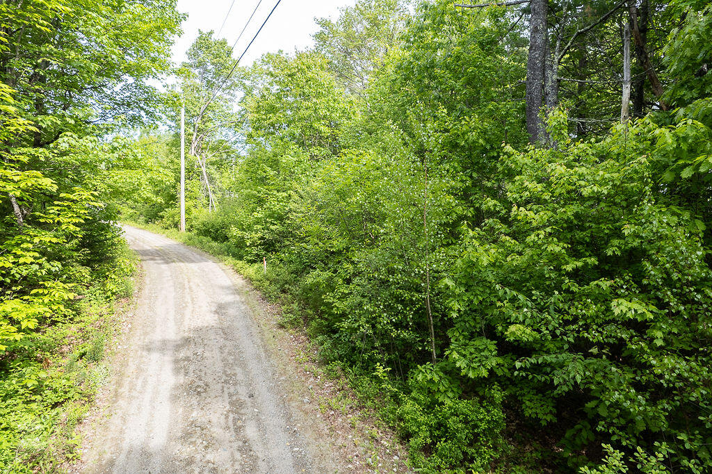 1171 Plains Road Property Photo 6