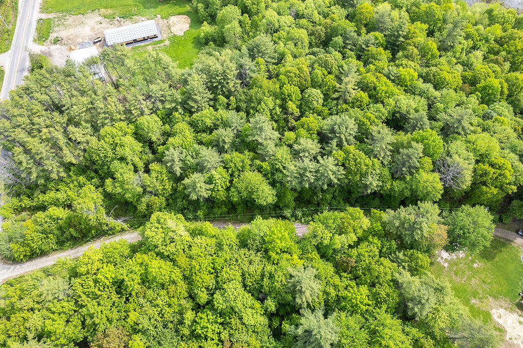 1171 Plains Road Property Photo 7