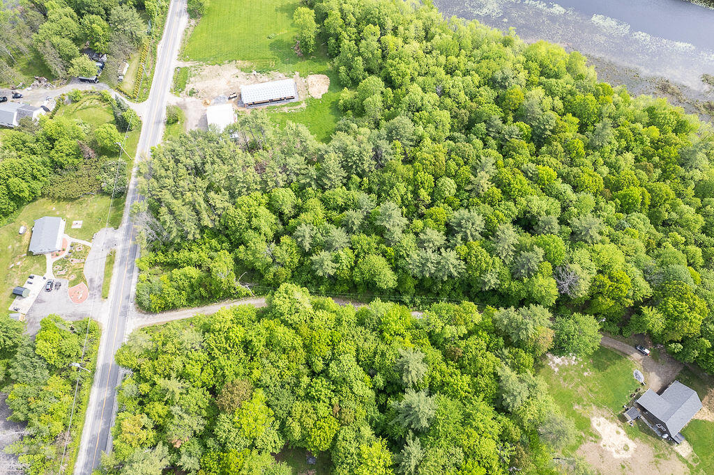1171 Plains Road Property Photo 8